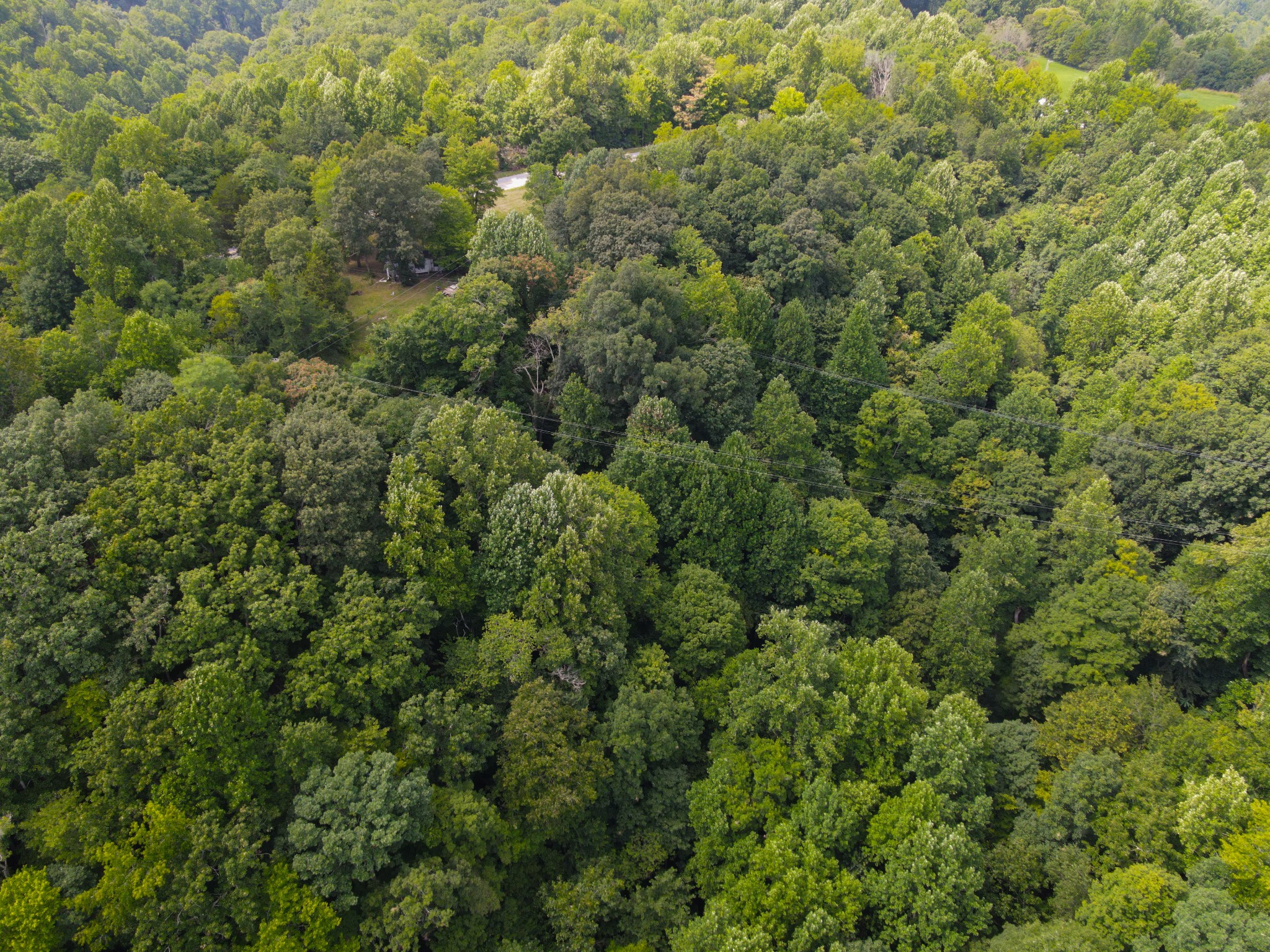 14776 Center Hill Dam Road Silver Point, TN 38582 - Photo 16 of 16 an aerial view of residential house with outdoor space and trees all around
