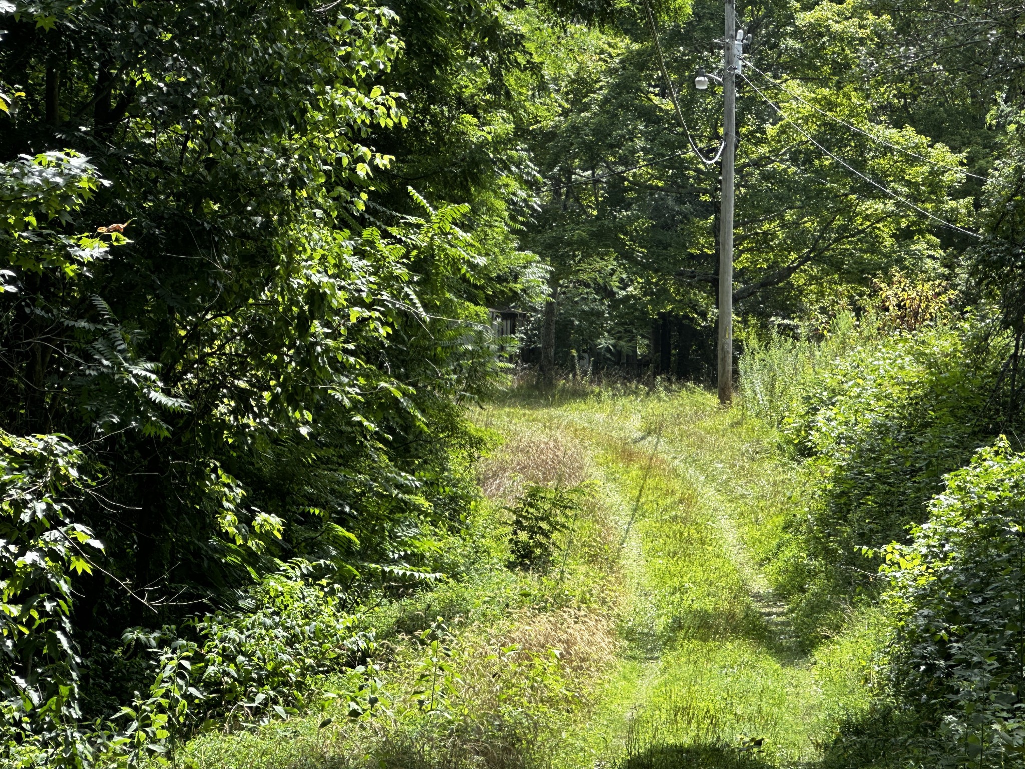 14776 Center Hill Dam Road Silver Point, TN 38582 - Photo 2 of 16 a view of a garden