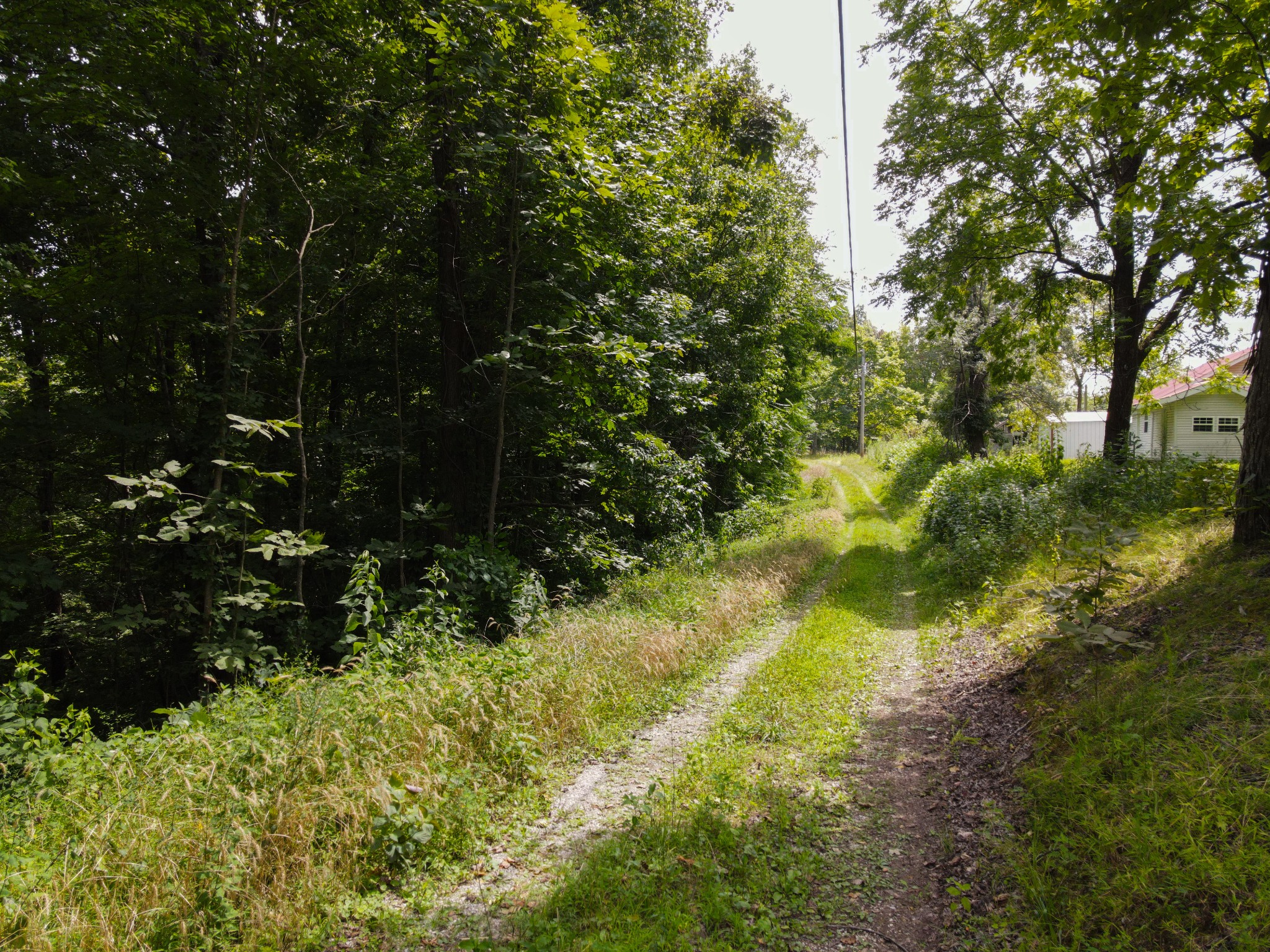 14776 Center Hill Dam Road Silver Point, TN 38582 - Photo 4 of 16 a view of yard