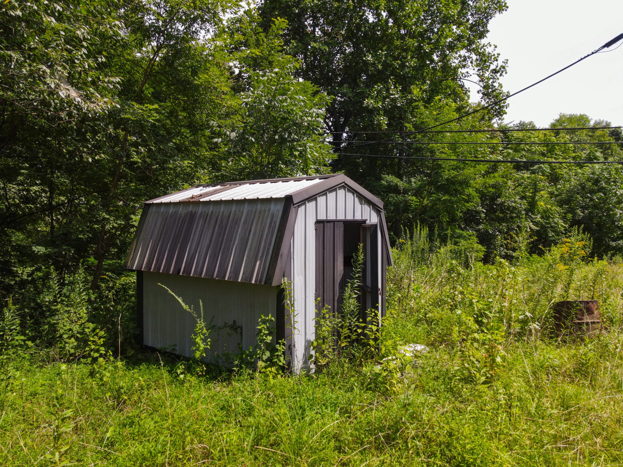 14776 Center Hill Dam Road Silver Point, TN 38582 - Photo 6 of 16 a backyard of a house with lots of green space