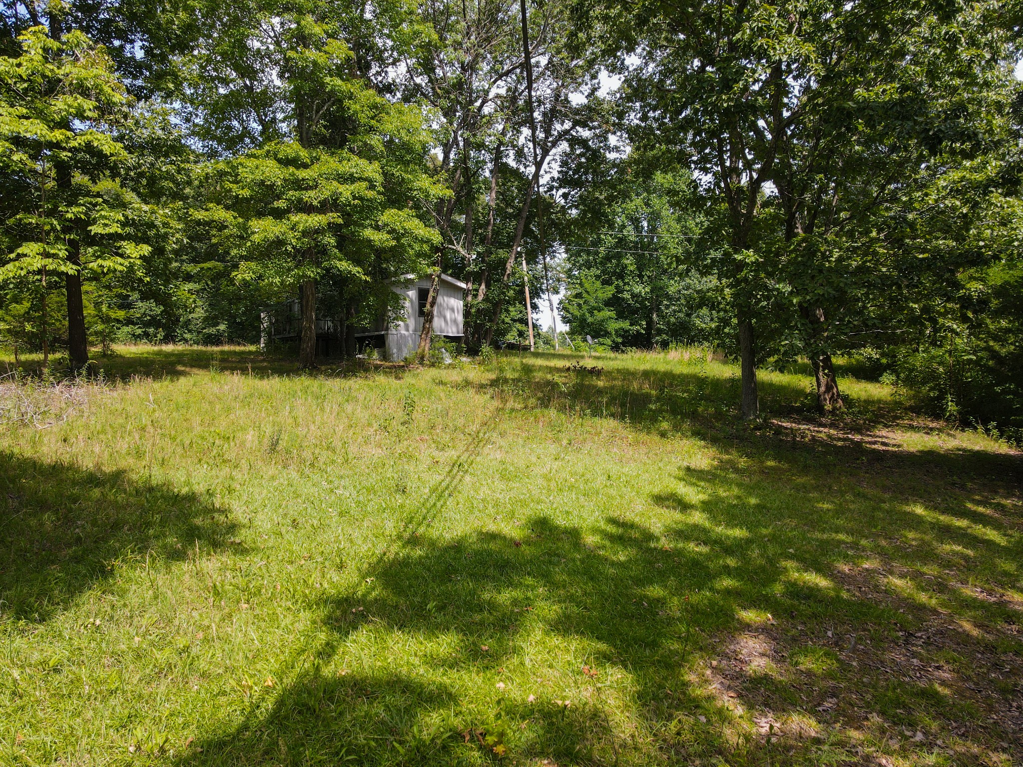 14776 Center Hill Dam Road Silver Point, TN 38582 - Photo 10 of 16 a view of a trees with a yard
