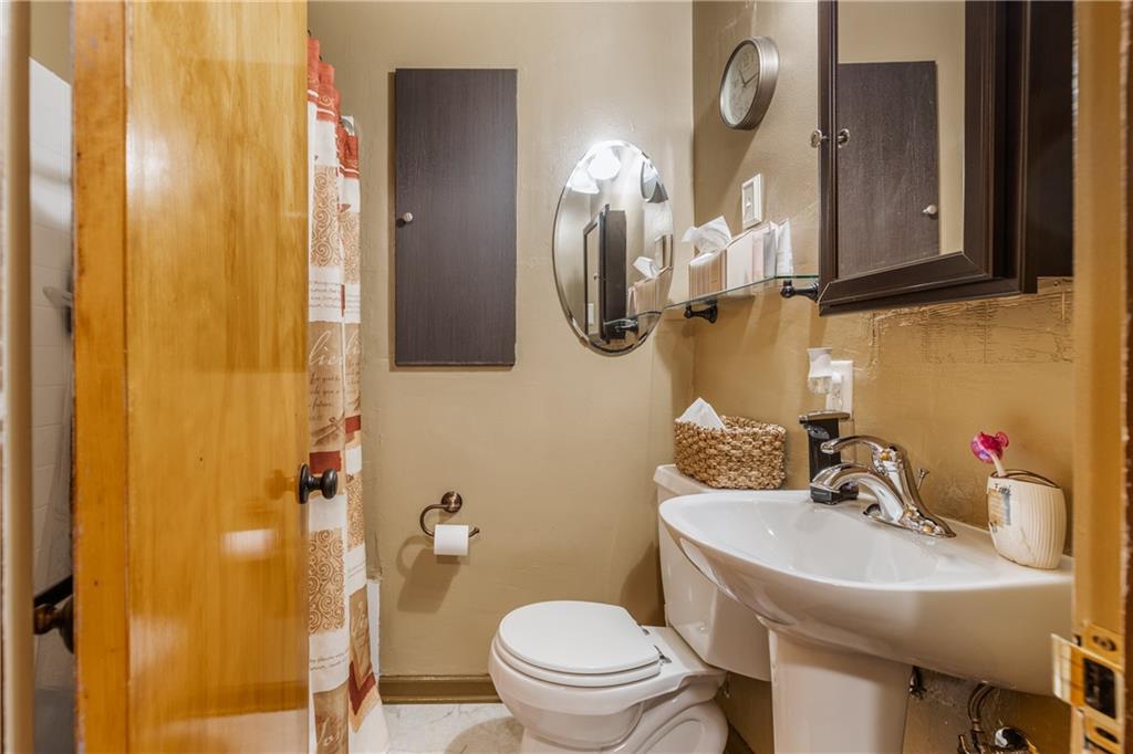 351 Goldsmith Road Pittsburgh, PA 15237 - Photo 17 of 25 a bathroom with a sink a toilet and shower curtain