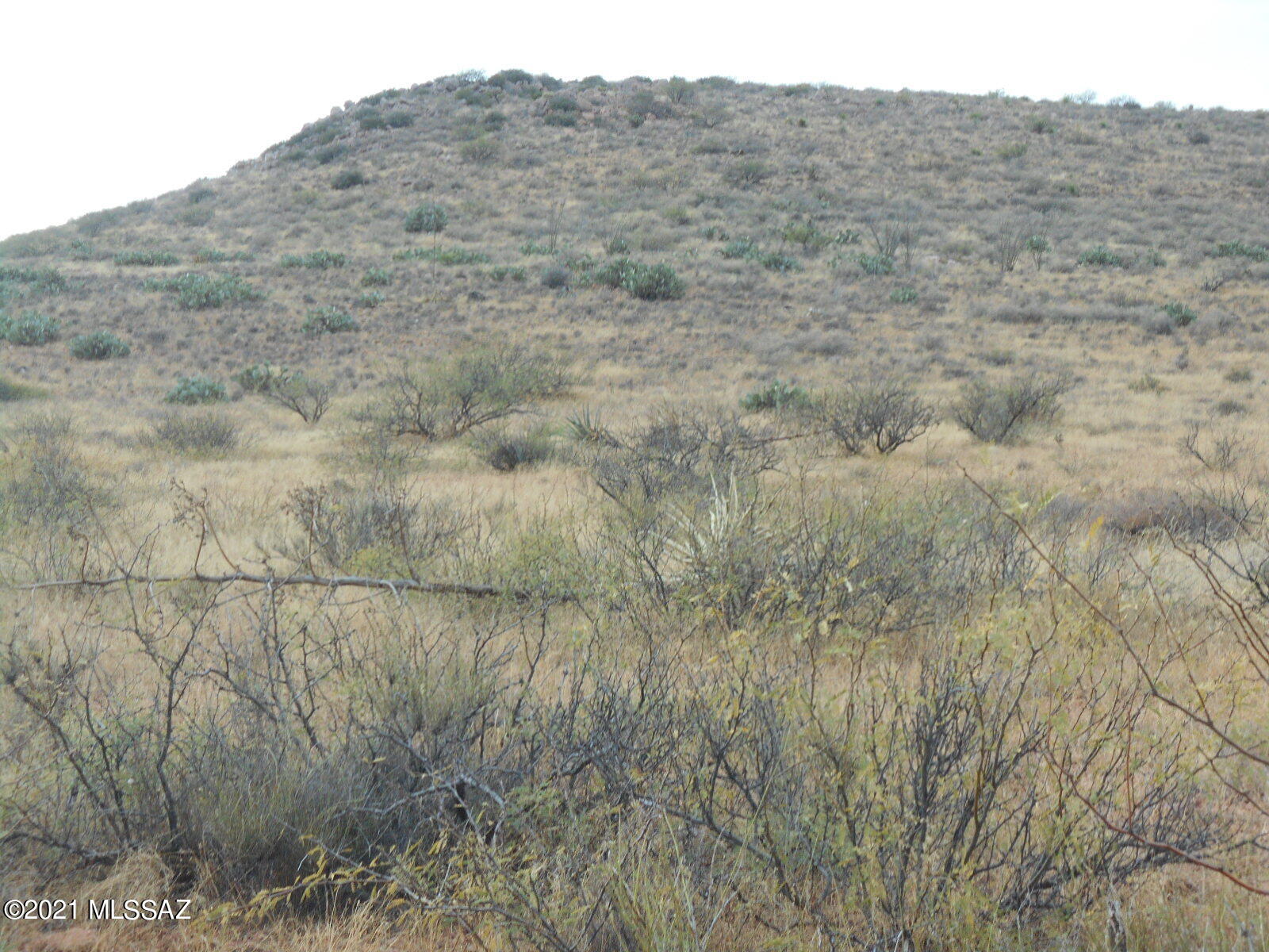 14466 Simons Road, Unit 1 Pearce, AZ 85625 - Photo 40 of 47