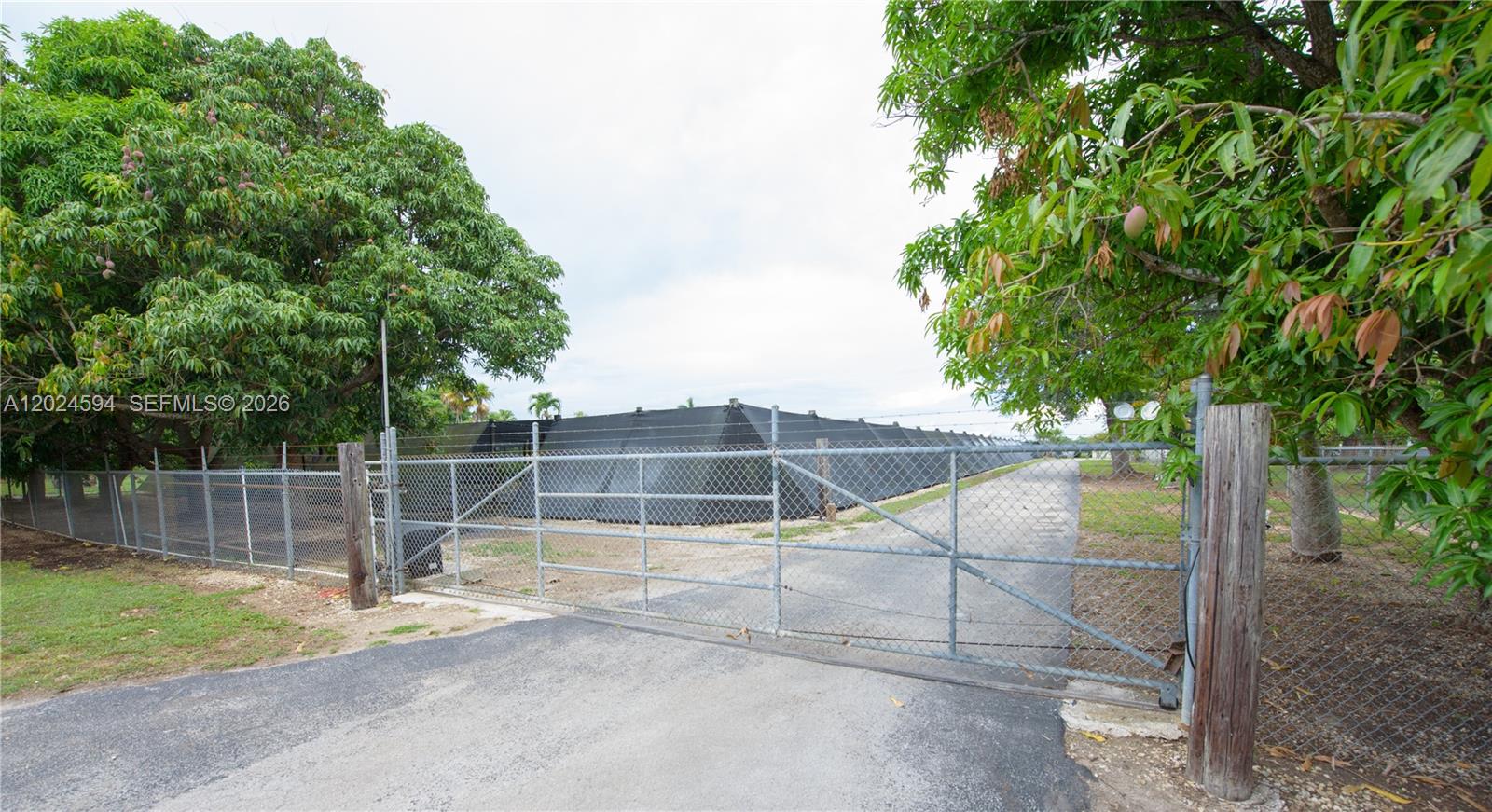 17355 Southwest 256th Street Homestead, FL 33031 - Photo 24 of 32 a view of a backyard