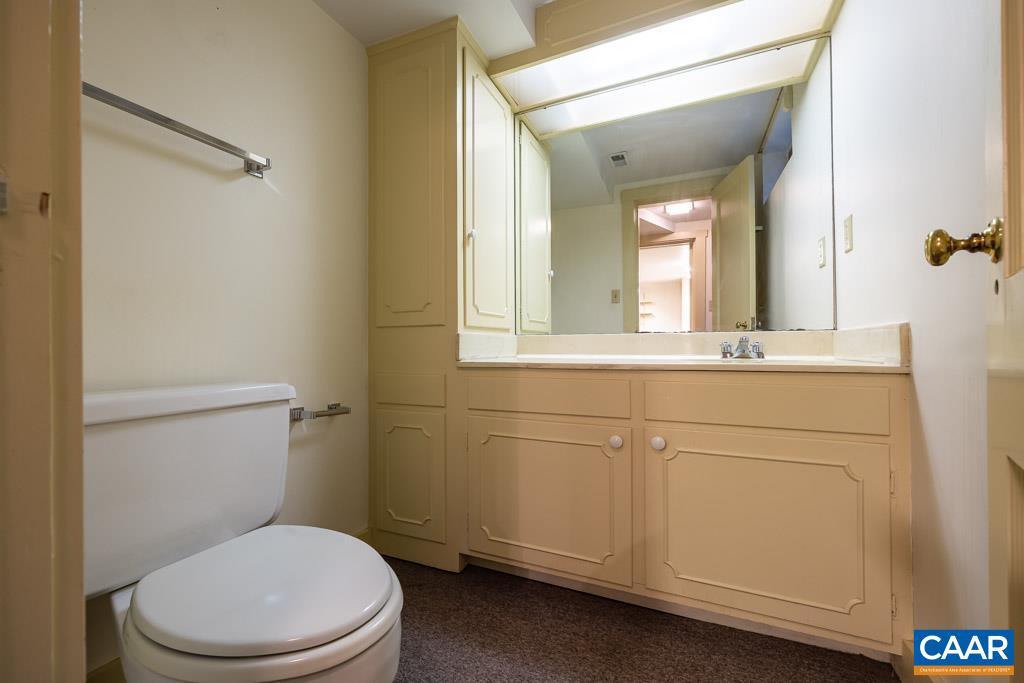 1644 St Annes Road Charlottesville, VA 22901 - Photo 32 of 58 a bathroom with a toilet a sink and mirror