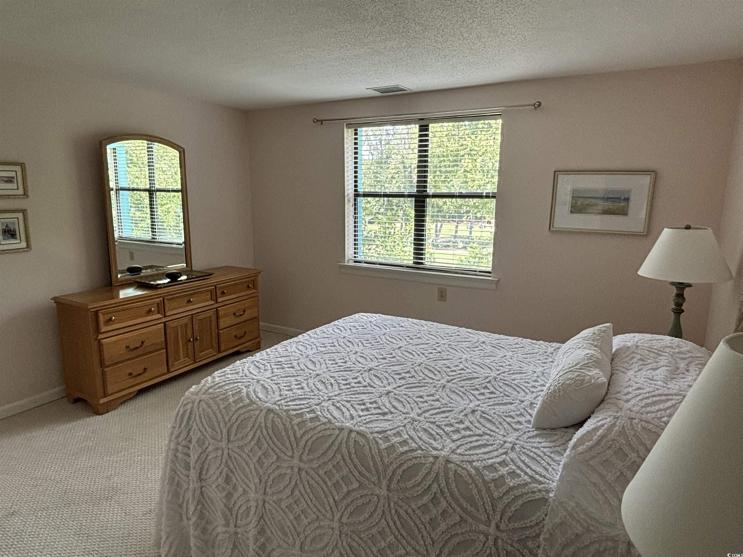 5001 Little River Road, Unit E419 Myrtle Beach, SC 29577 - Photo 12 of 30 Gallery Image 12