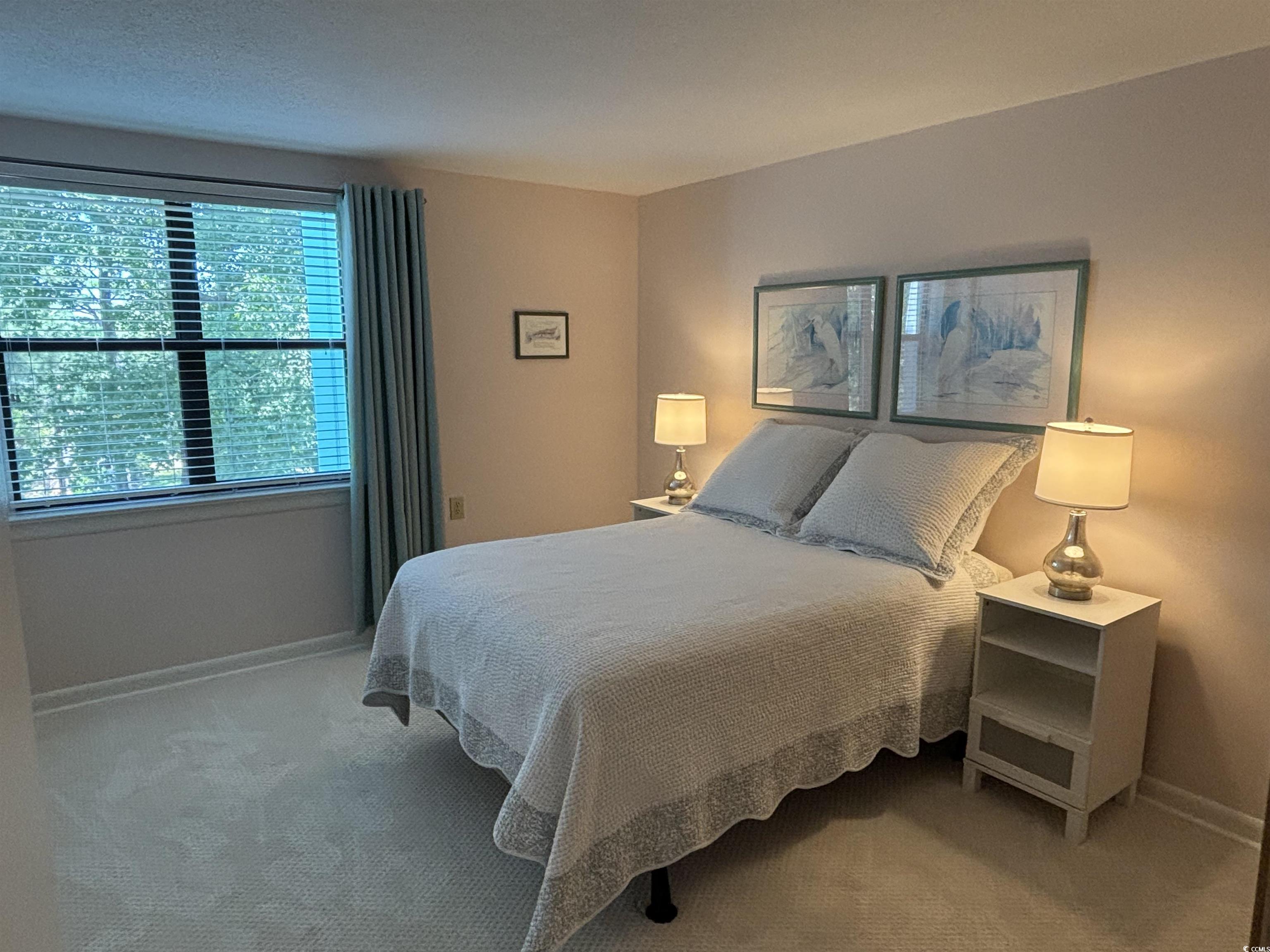 5001 Little River Road, Unit E419 Myrtle Beach, SC 29577 - Photo 15 of 30 Gallery Image 15