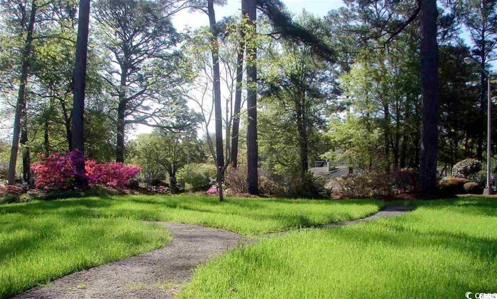 5001 Little River Road, Unit E419 Myrtle Beach, SC 29577 - Photo 20 of 30 Gallery Image 20