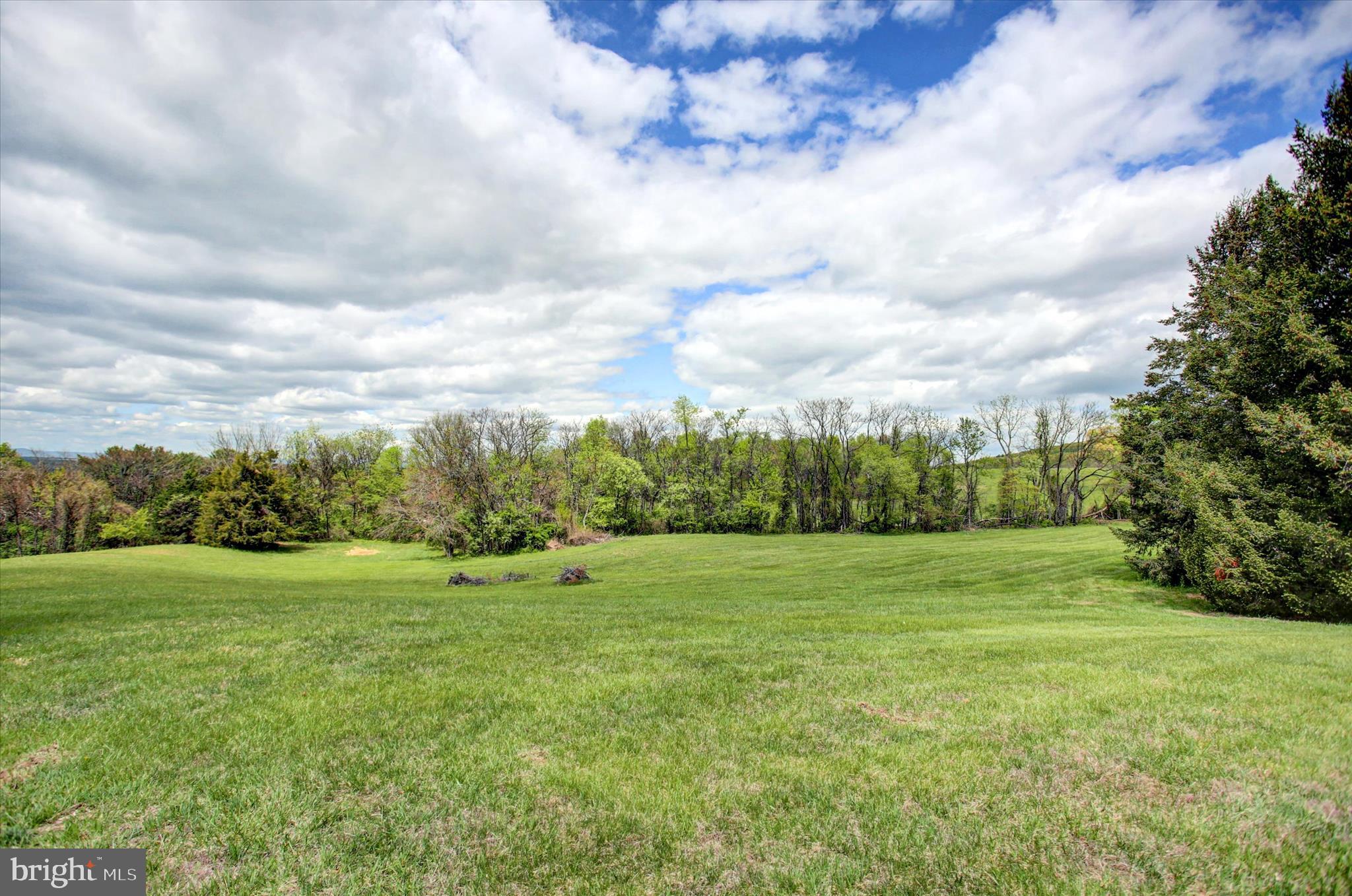 8001 Mapleville Road Boonsboro, MD 21713 - Photo 11 of 83