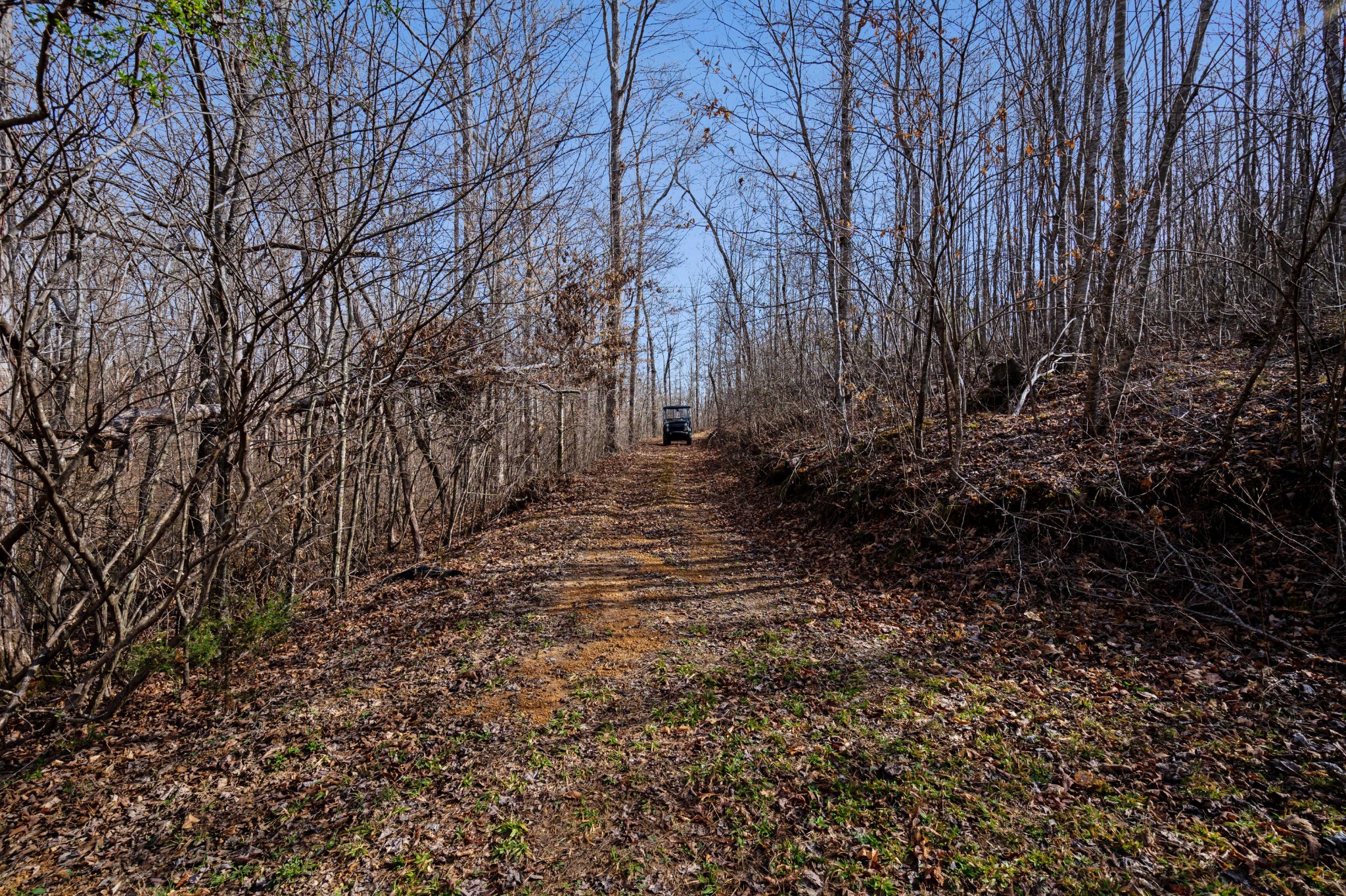 131 Turkey Ridge Road Summertown, TN 38483 - Photo 12 of 29