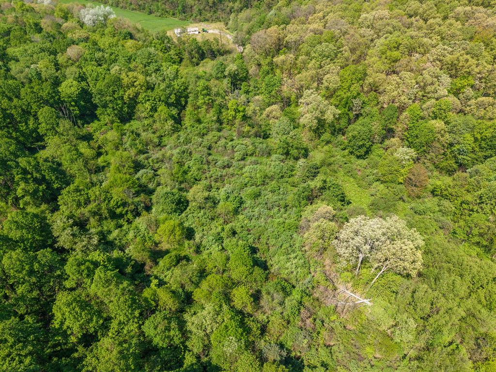 637 American School Road Harmony, PA 16037 - Photo 18 of 21