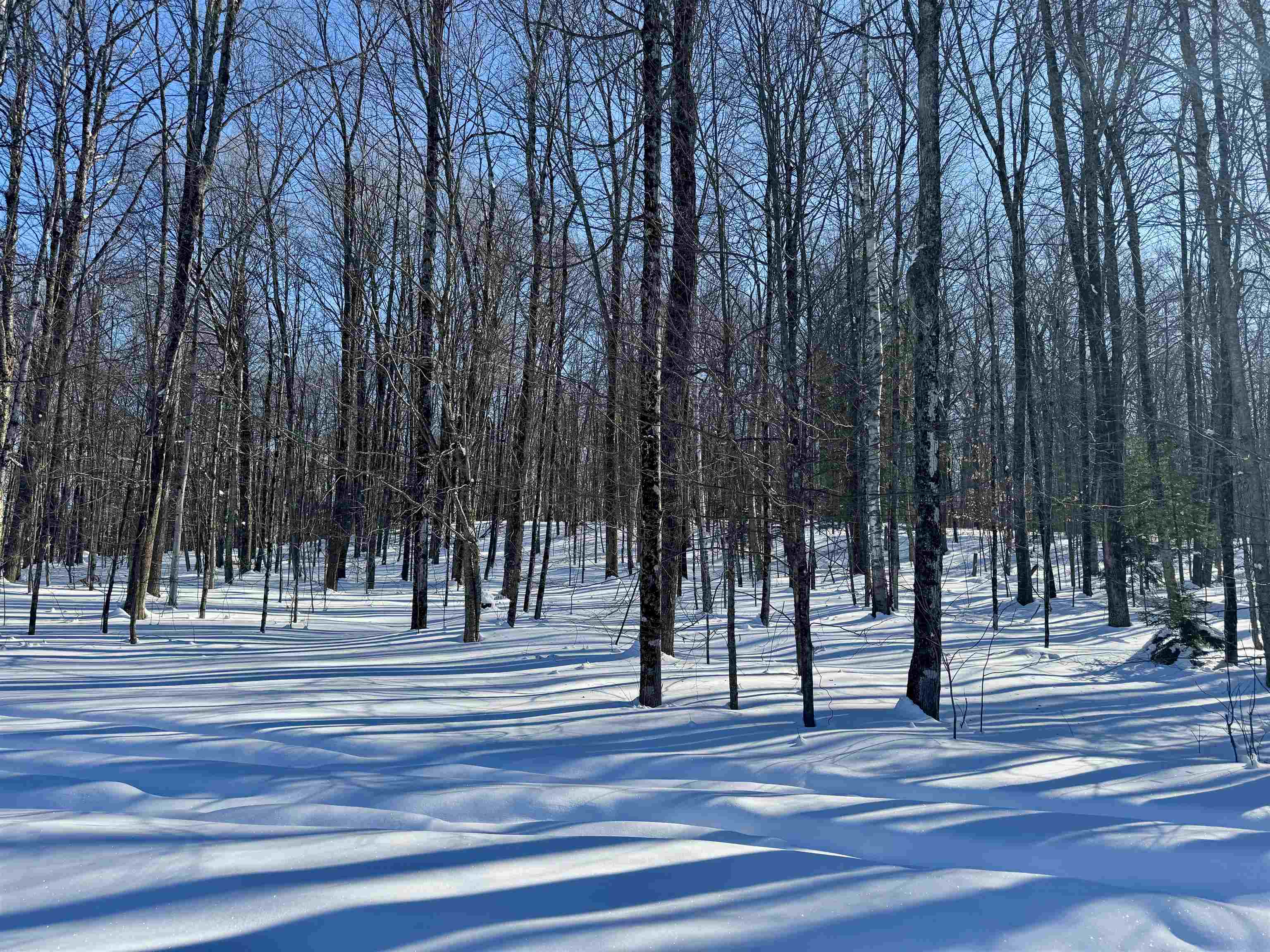 866 Ridge Hill Drive Derby, VT 05855 - Photo 35 of 37