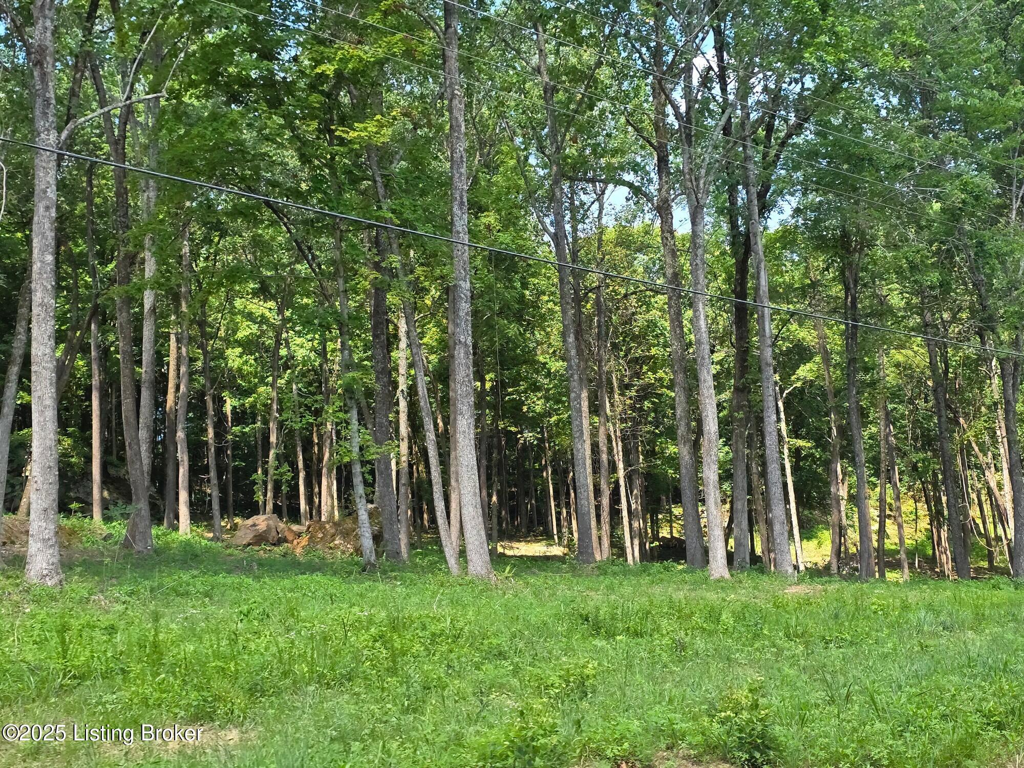 0 Cave Creek Road Falls Of Rough, KY 40119 - Photo 18 of 70 Entire Parcel (15)
