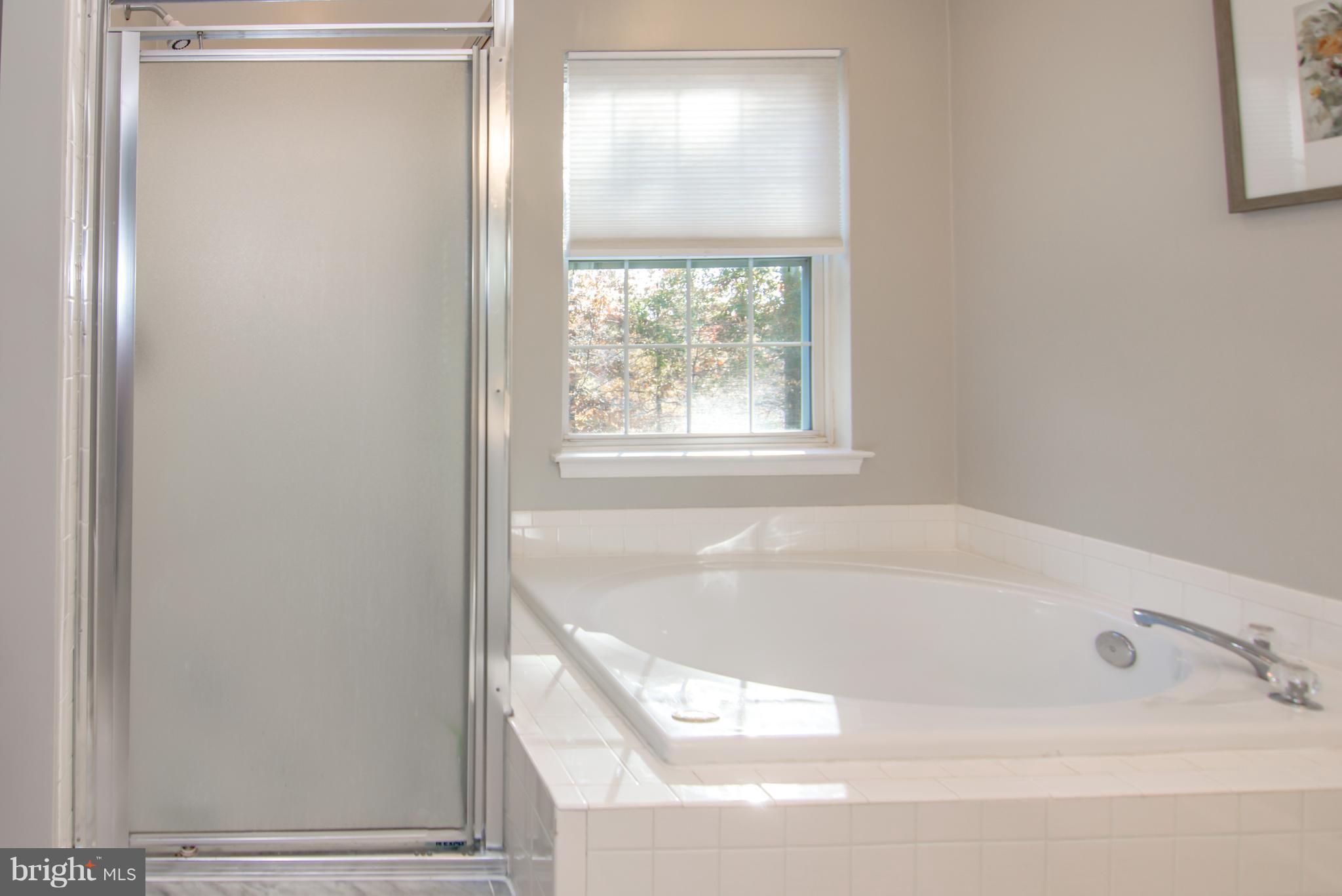 2660 Summers Ridge Drive Odenton, MD 21113 - Photo 17 of 36 Master "Super" Bath!