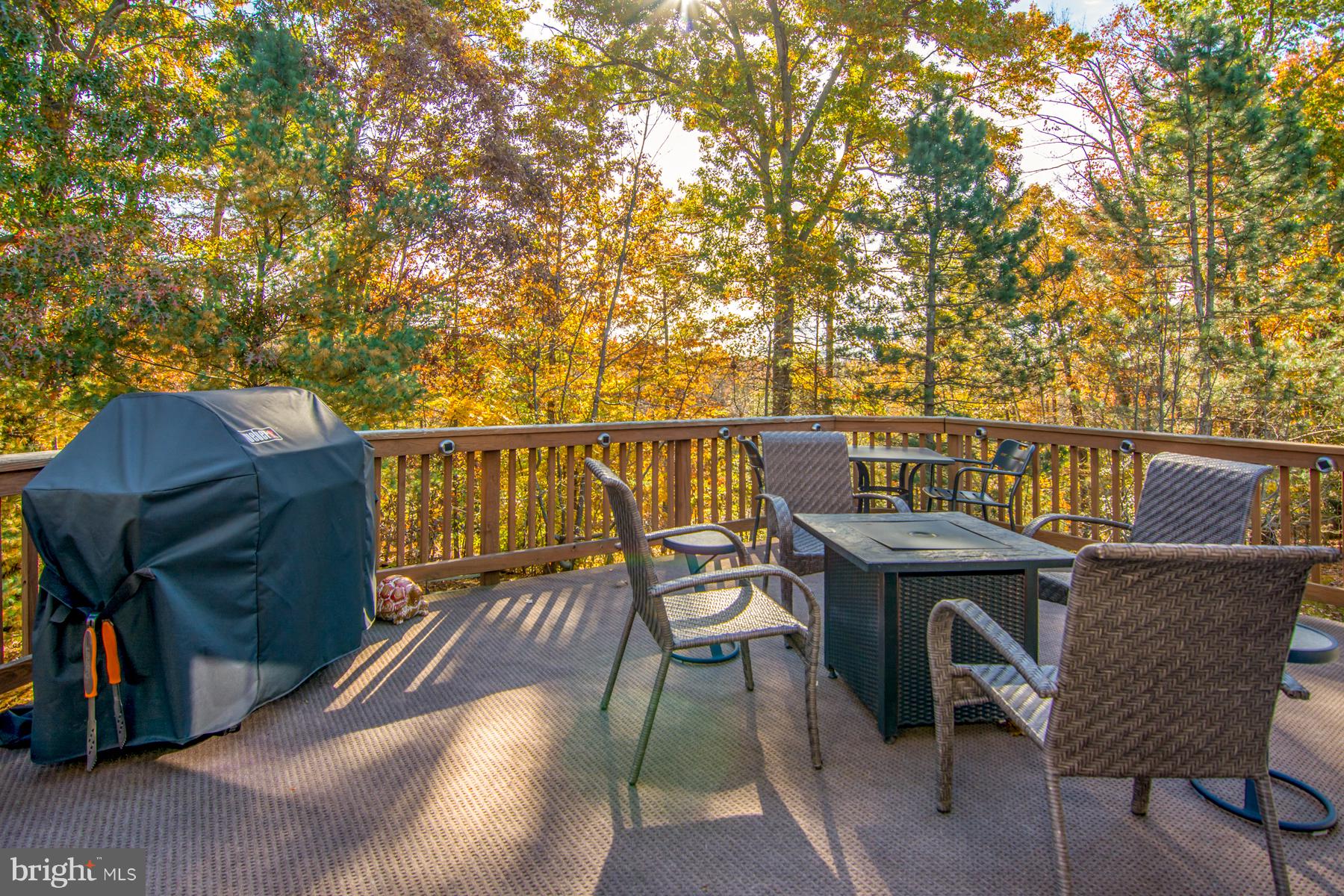 2660 Summers Ridge Drive Odenton, MD 21113 - Photo 31 of 36 Gallery Image 31