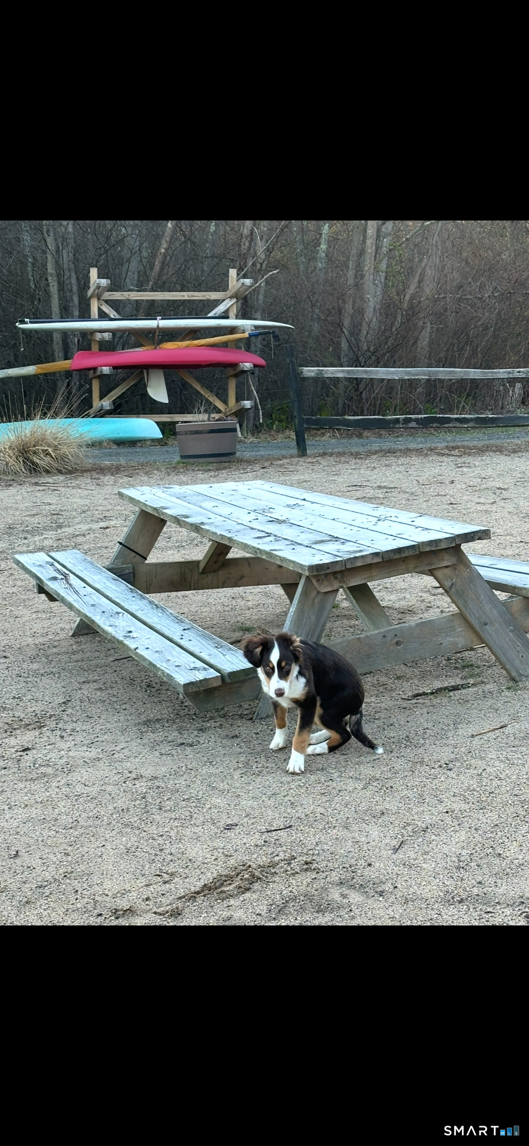 219 Twin Lakes Road, Unit A North Branford, CT 06471 - Photo 31 of 34