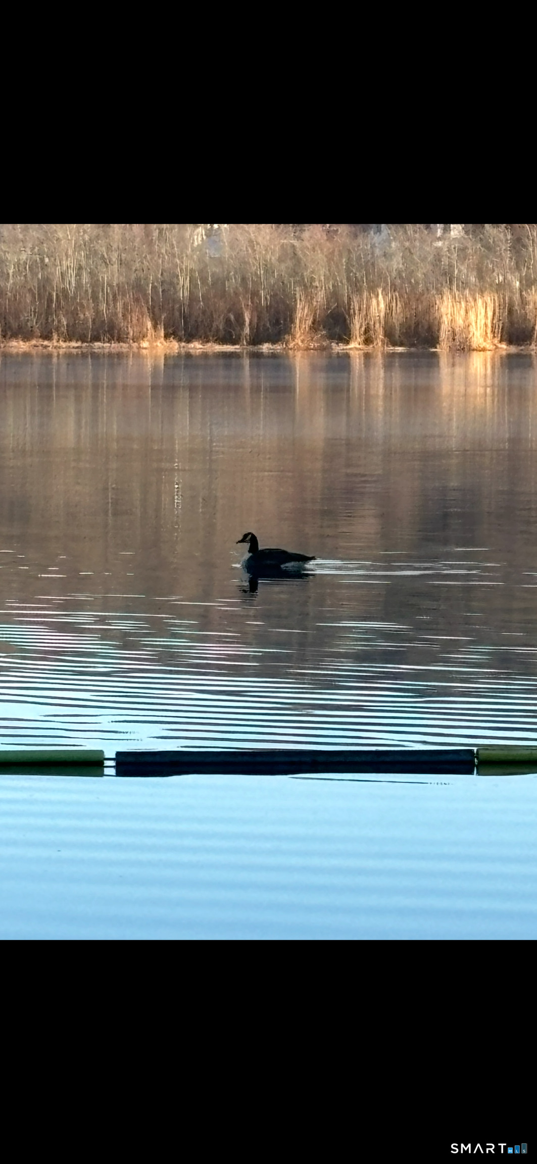 219 Twin Lakes Road, Unit A North Branford, CT 06471 - Photo 32 of 34