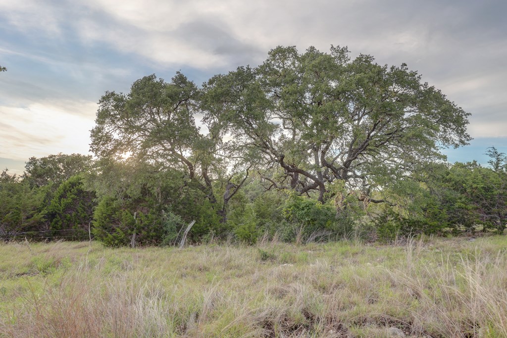 438 Yellowstone Lane Hunt, TX 78024 - Photo 22 of 47