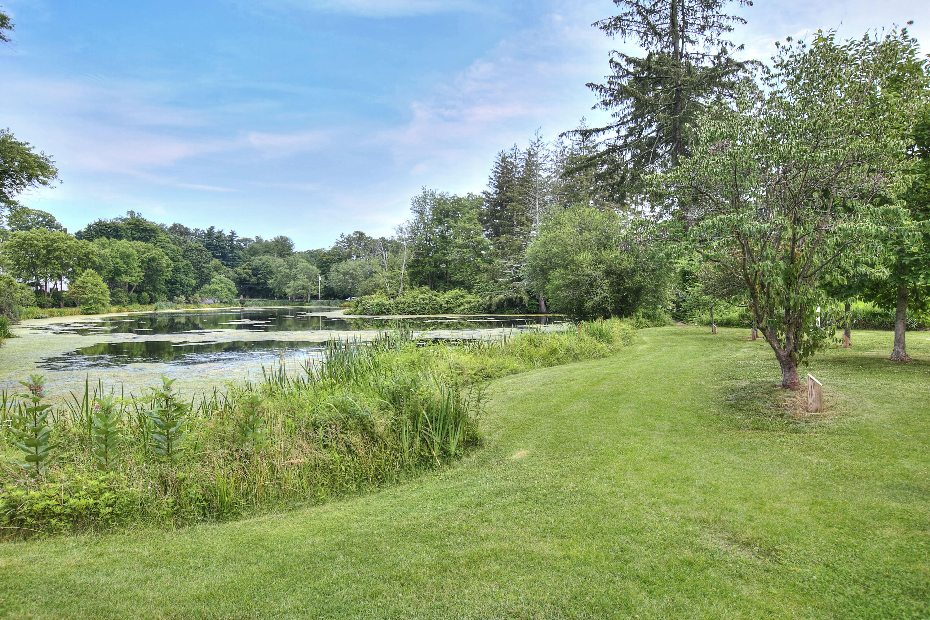 89 Richmond Hill Road New Canaan, CT 06840 - Photo 38 of 40 a view of a lake with a yard and trees