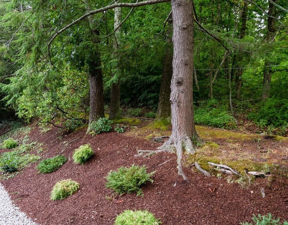 14 Hilliard Road Lincoln, MA 01773 - Photo 27 of 31
