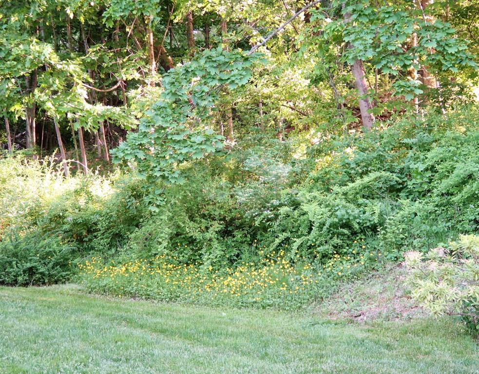 14 Hilliard Road Lincoln, MA 01773 - Photo 29 of 31 a backyard of a house with lots of green space