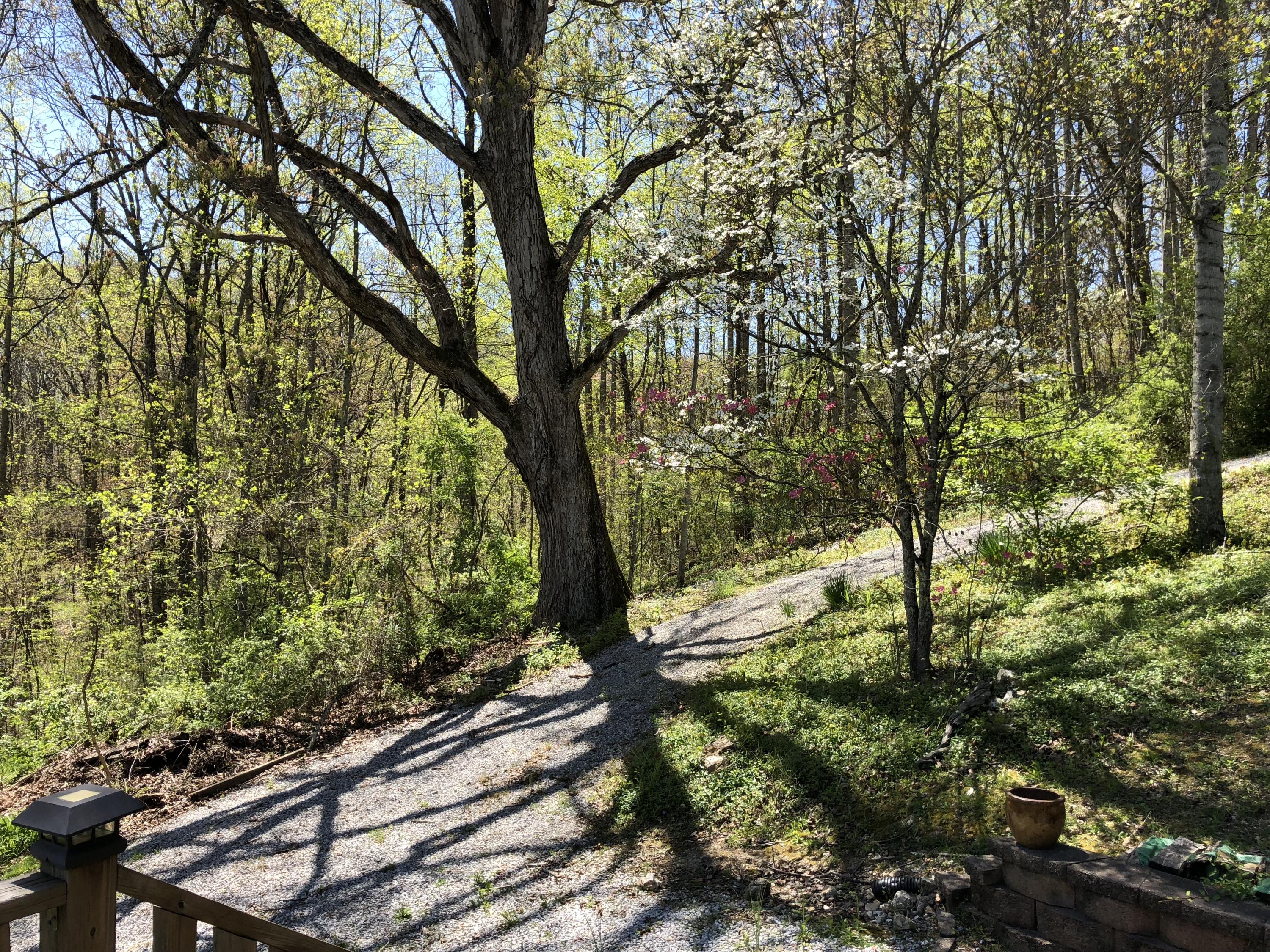 787 Mt Zion Road Jacksboro, TN 37757 - Photo 22 of 35 IMG_4565