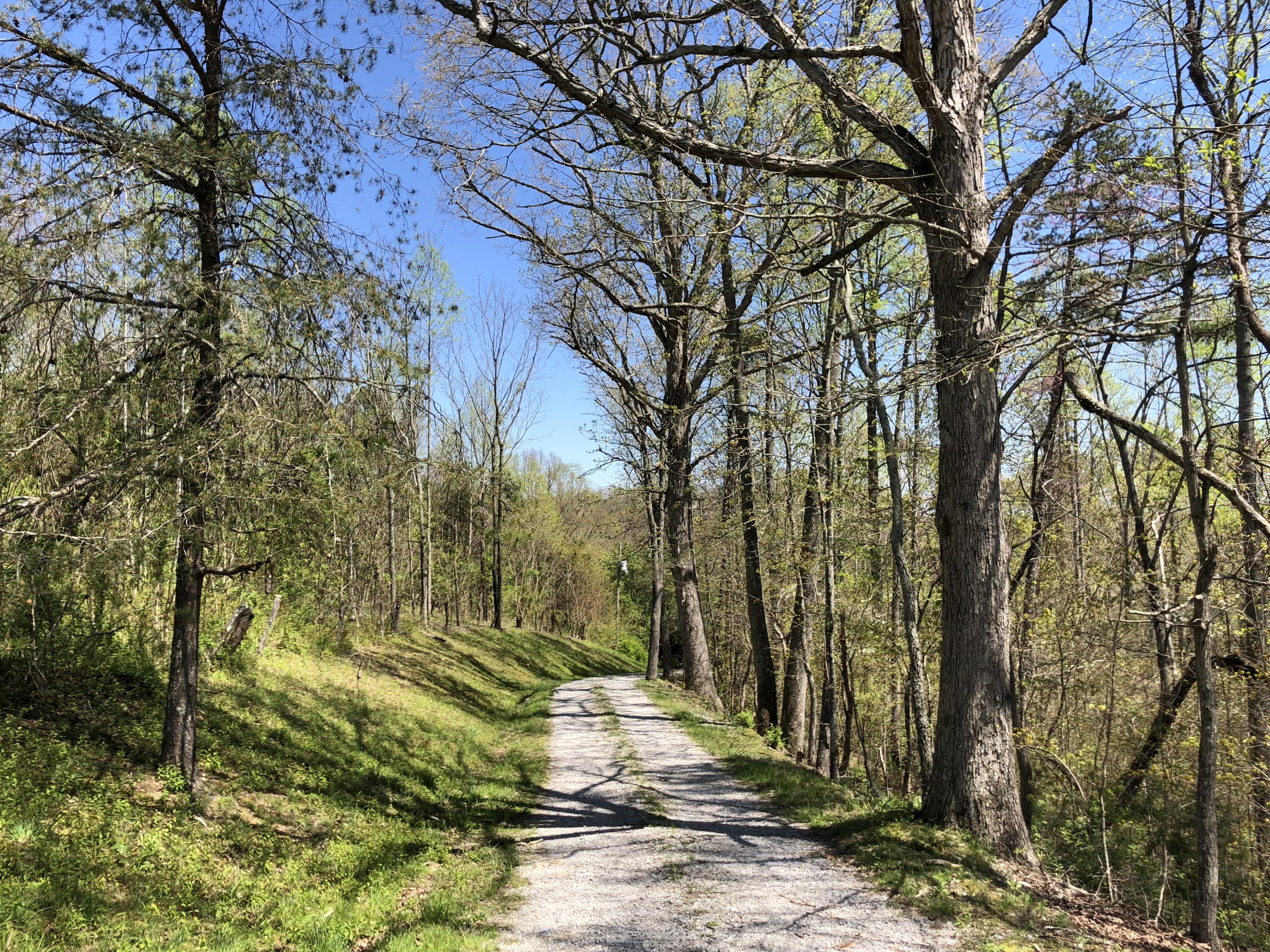 787 Mt Zion Road Jacksboro, TN 37757 - Photo 24 of 35 Driveway