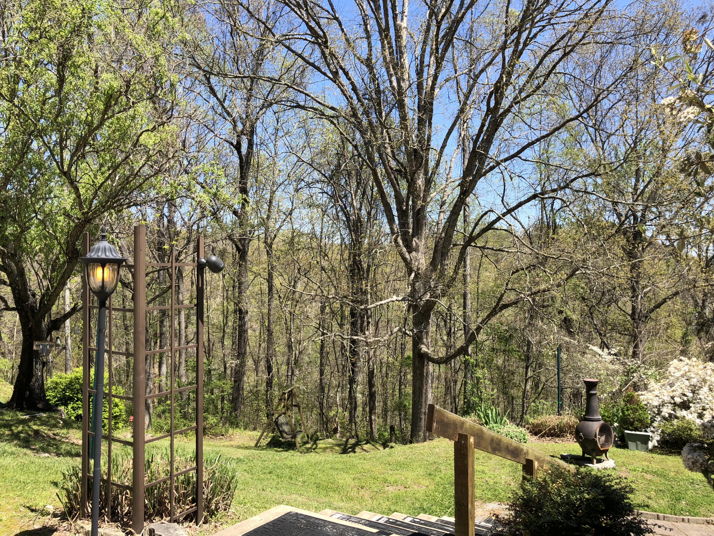 787 Mt Zion Road Jacksboro, TN 37757 - Photo 28 of 35 Yard