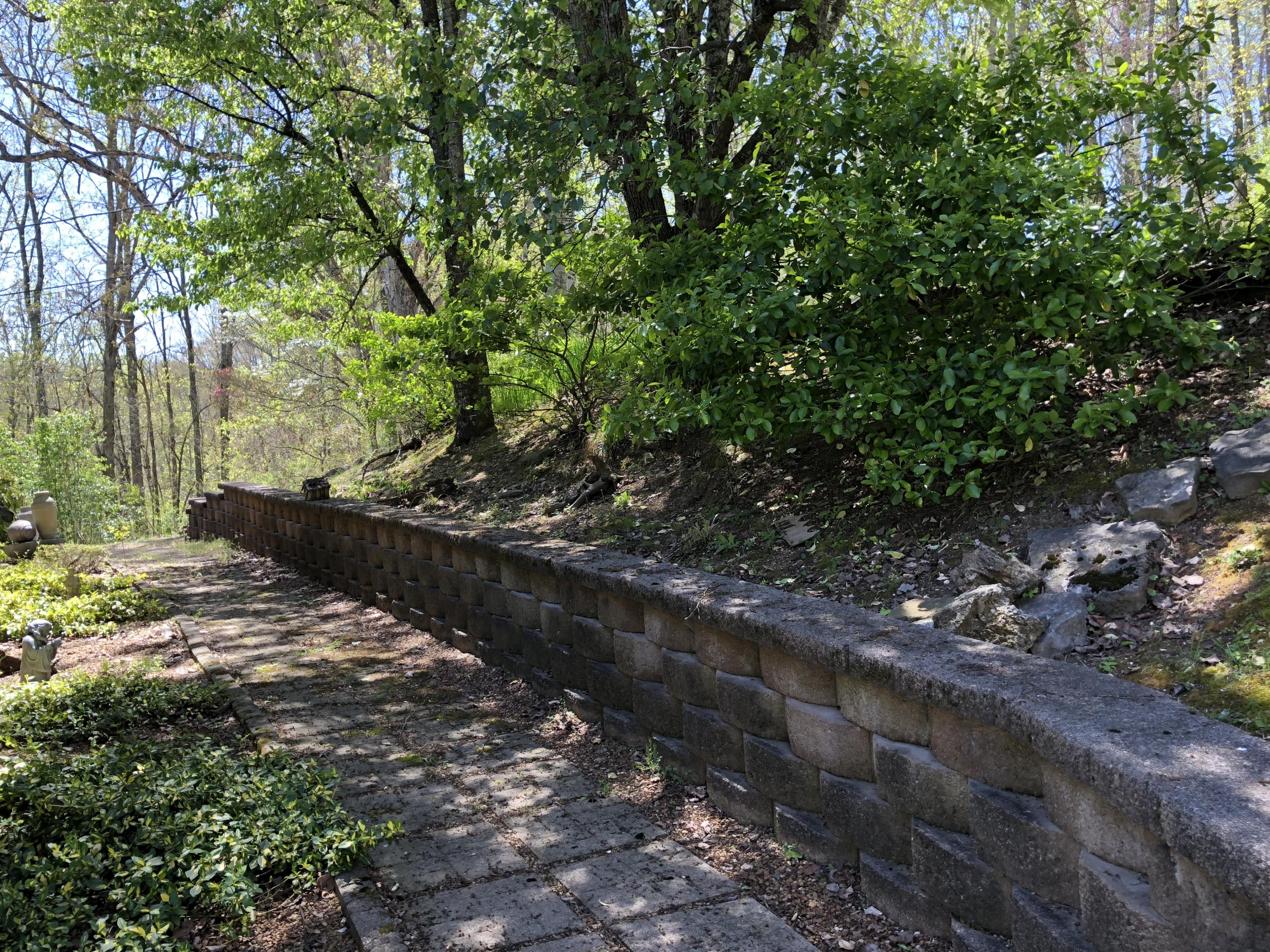 787 Mt Zion Road Jacksboro, TN 37757 - Photo 31 of 35 IMG_4544