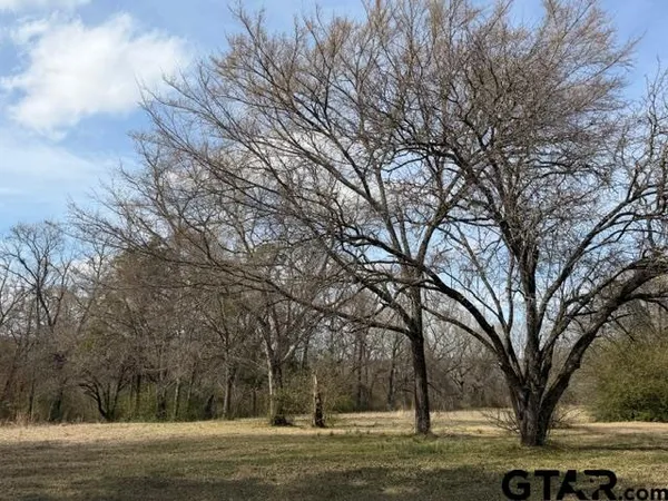 a view of a yard with a trees