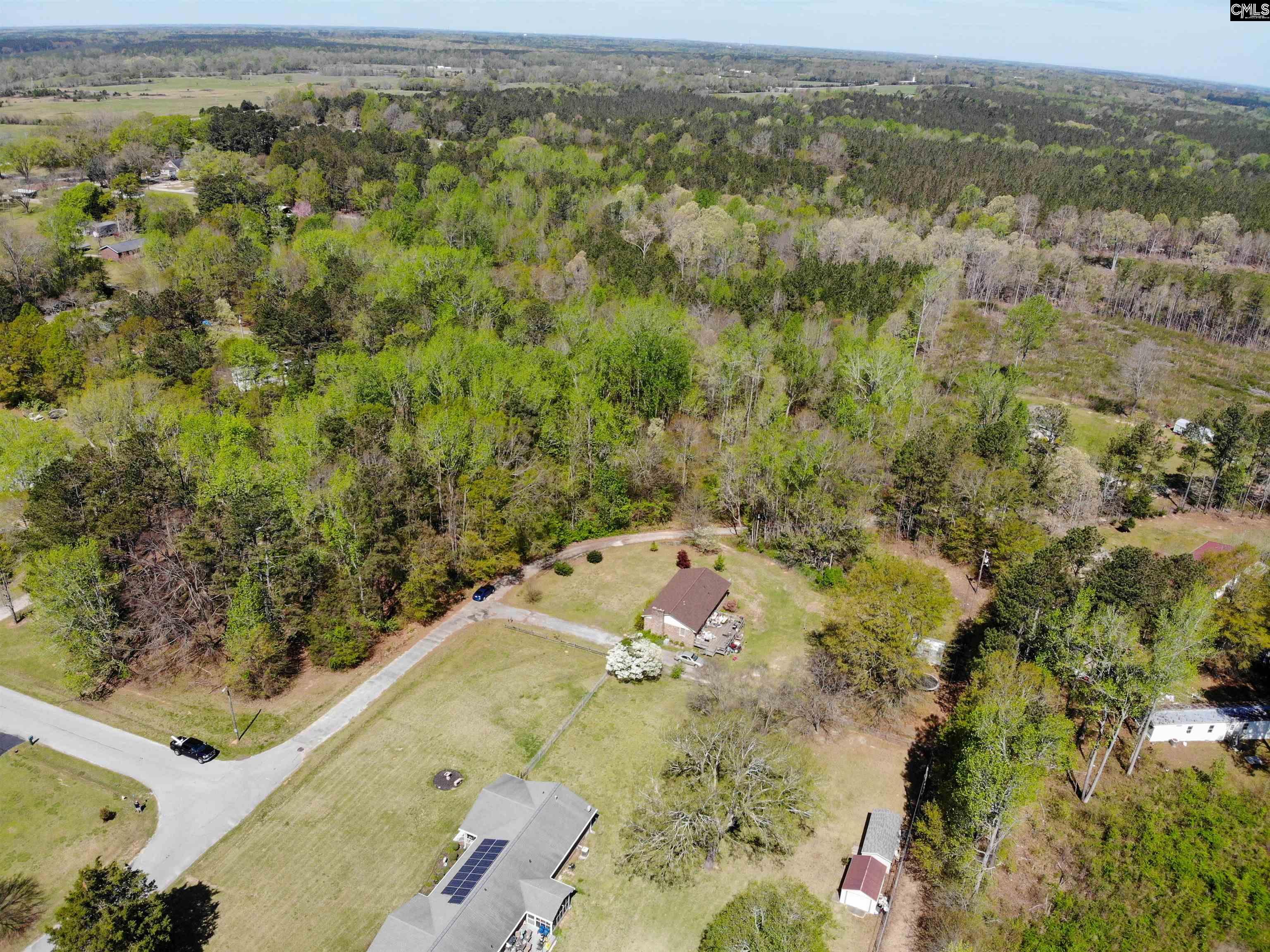 Tbd James Road Joanna, SC 29351 - Photo 43 of 82