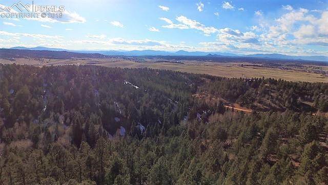 1655 Elk Ridge South Divide, CO 80814 - Photo 32 of 35