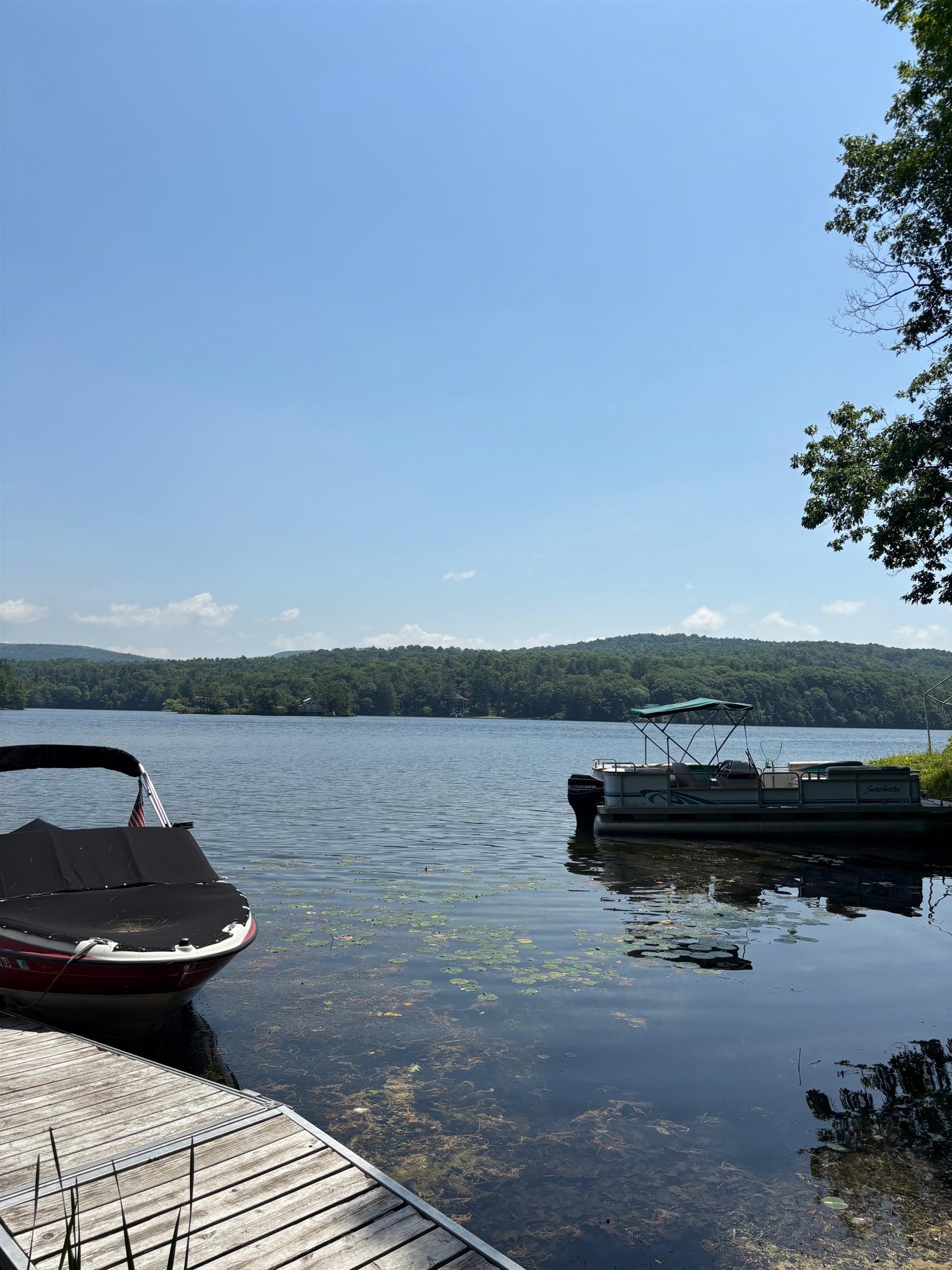 124 Sharon Drive Hubbardton, VT 05743 - Photo 12 of 18
