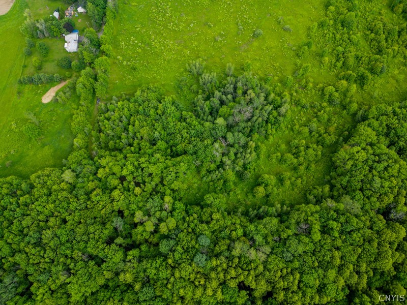 8031 Benson Road Floyd, NY 13354 - Photo 28 of 33