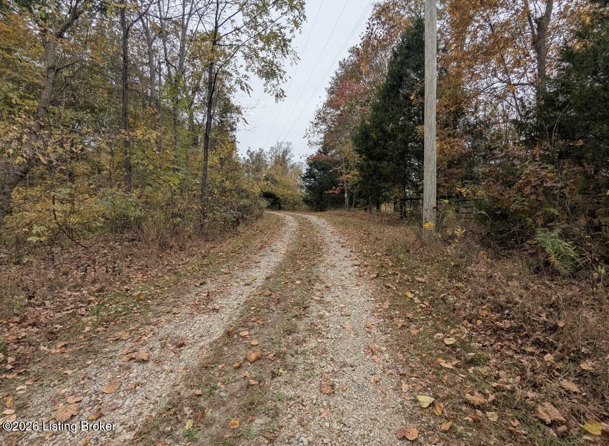 194 Hagan Road Bloomfield, KY 40008 - Photo 56 of 60 IMG_0972