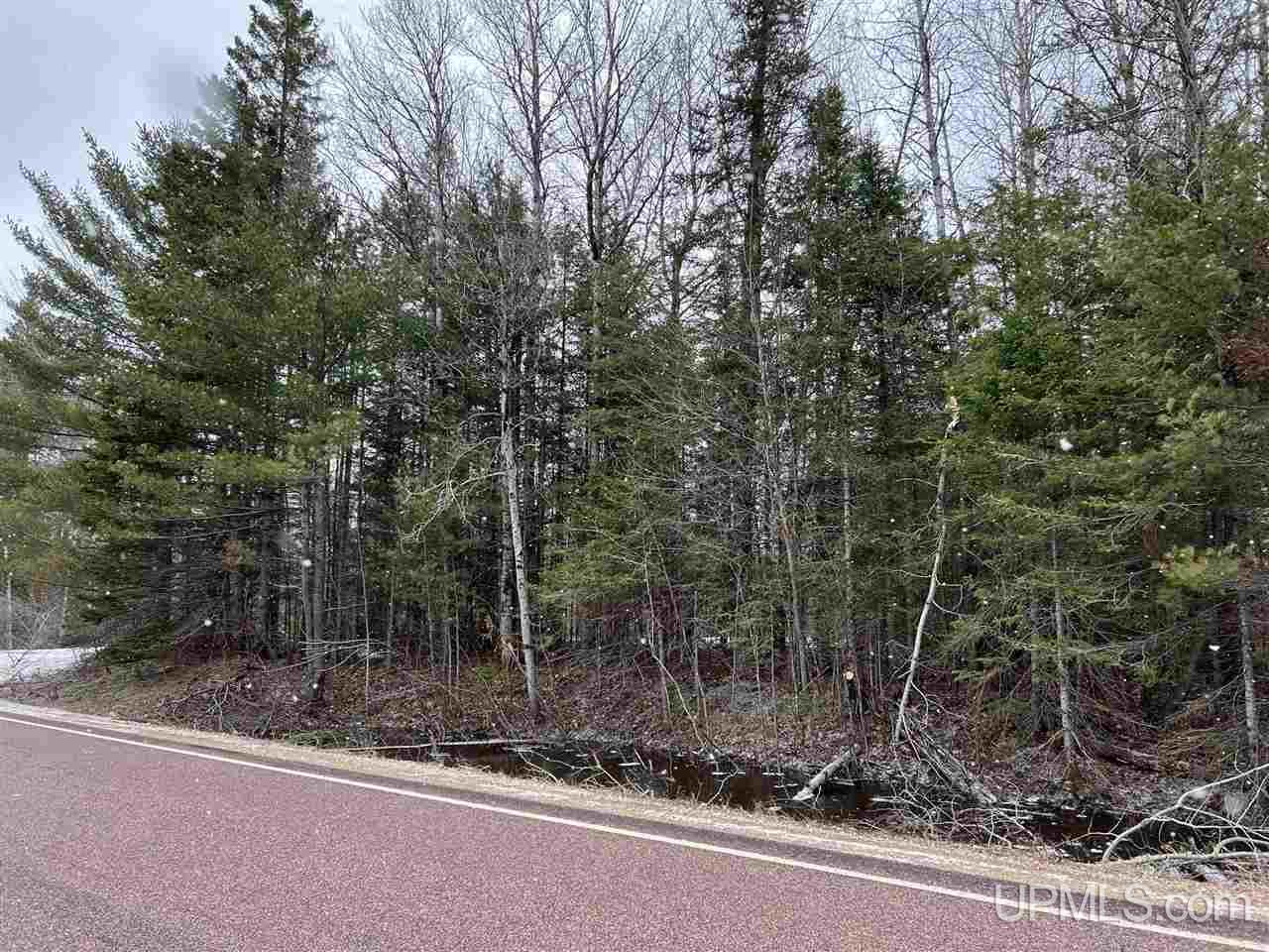 Tbd Tbd H-15 Shingleton, MI 49884 - Photo 21 of 23