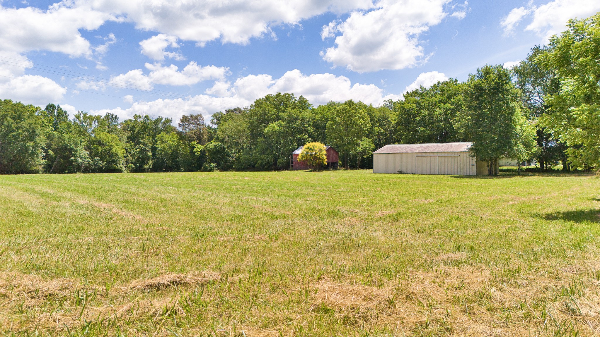 820 Edwards Road Russellville, KY 42276 - Photo 11 of 23 a view of a big yard with large trees