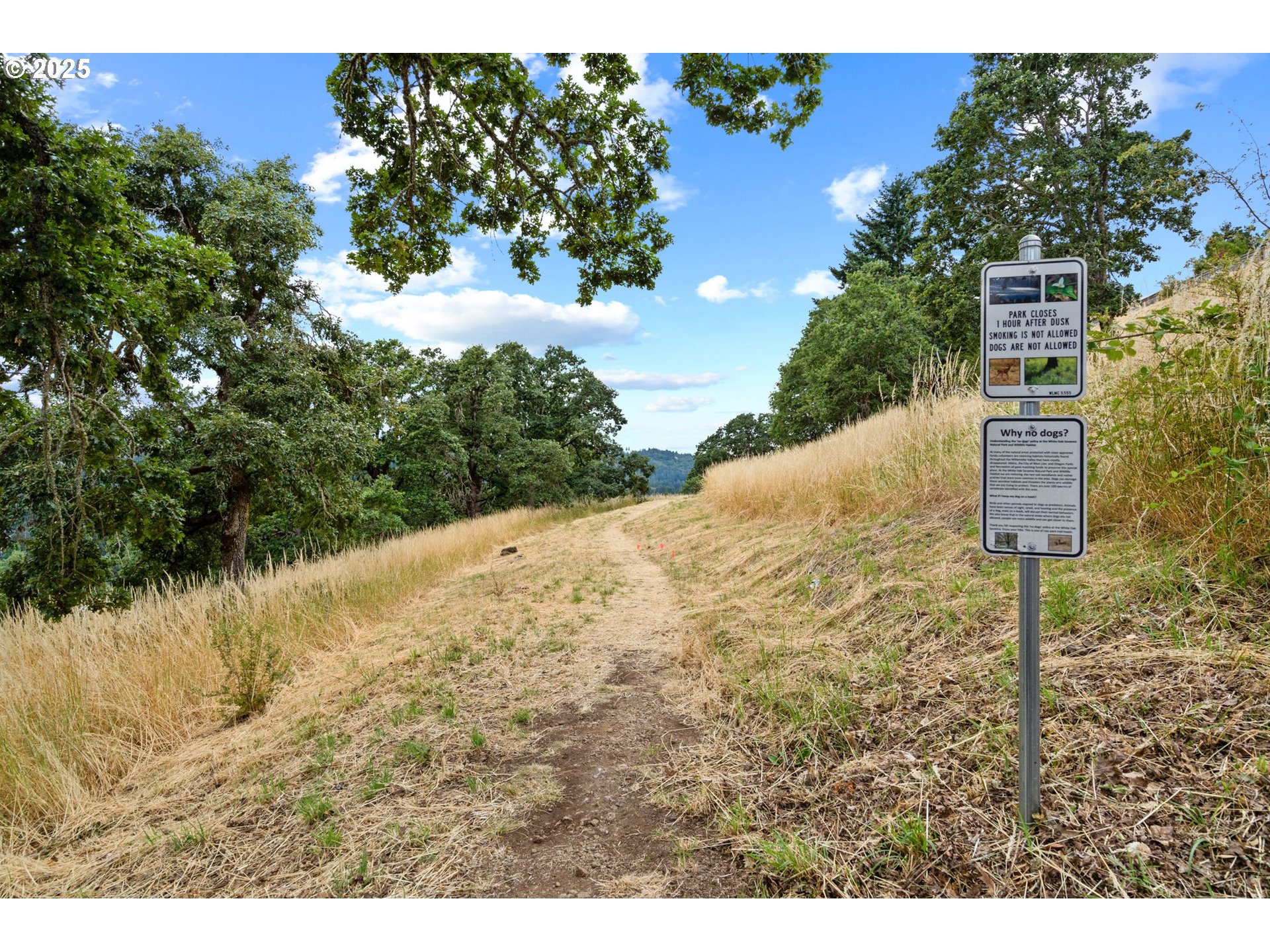 1925 Hall Street West Linn, OR 97068 - Photo 23 of 28 a view of a backyard of the house