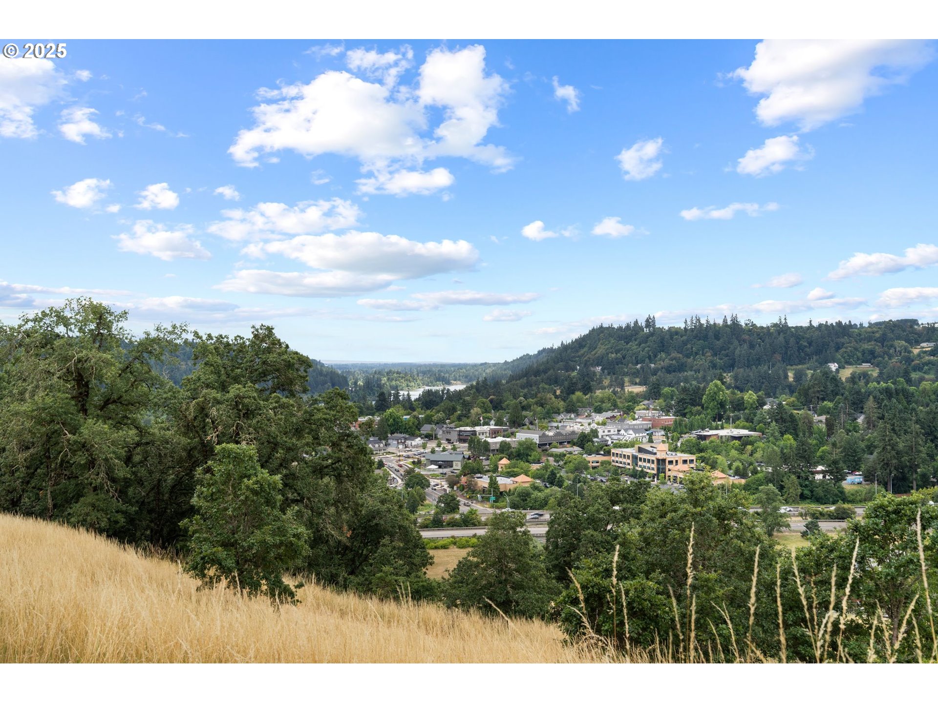 1925 Hall Street West Linn, OR 97068 - Photo 24 of 28 a view of a city