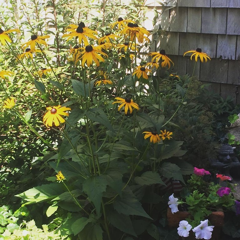 36 Parsonage Road Plympton, MA 02367 - Photo 28 of 30