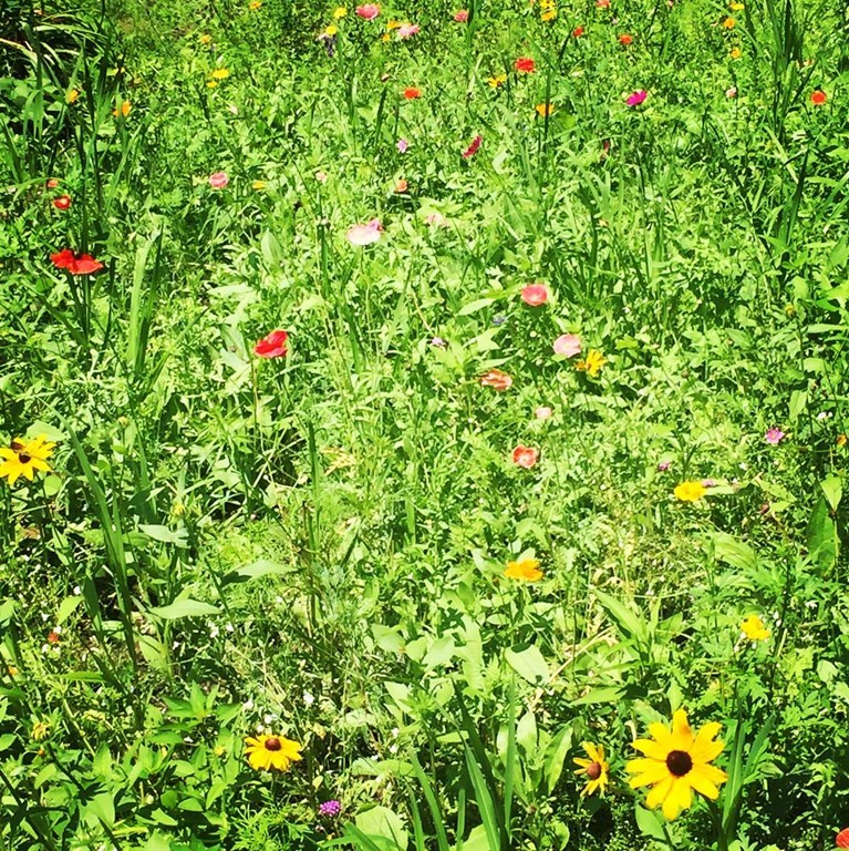 36 Parsonage Road Plympton, MA 02367 - Photo 30 of 30