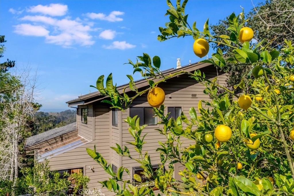 3171 Rogers Road Cambria, CA 93428 - Photo 53 of 73