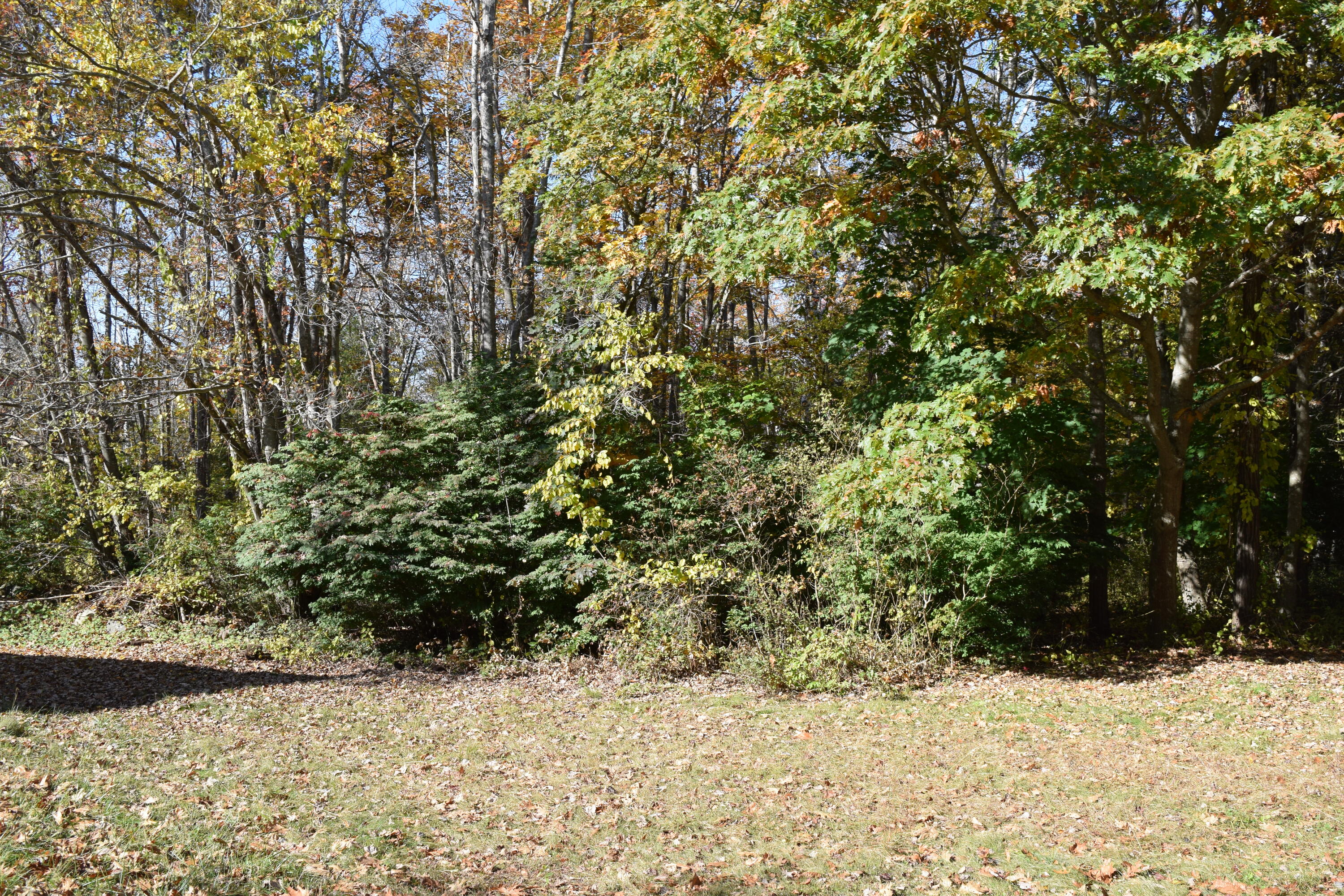1668 Harpswell Neck Road Harpswell, ME 04079 - Photo 47 of 58 DSC_0877