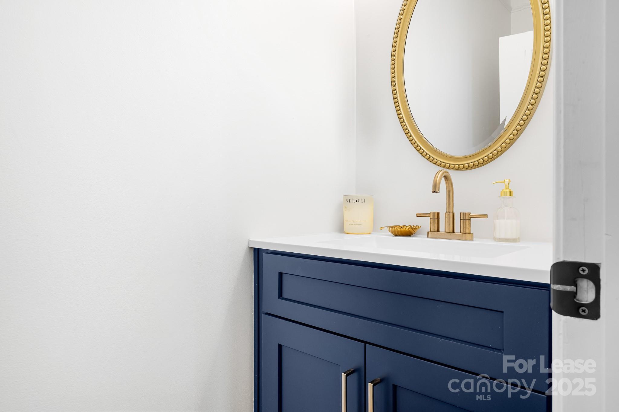 7277 Willowbrook Drive Denver, NC 28037 - Photo 24 of 33 a bathroom with a sink and a mirror