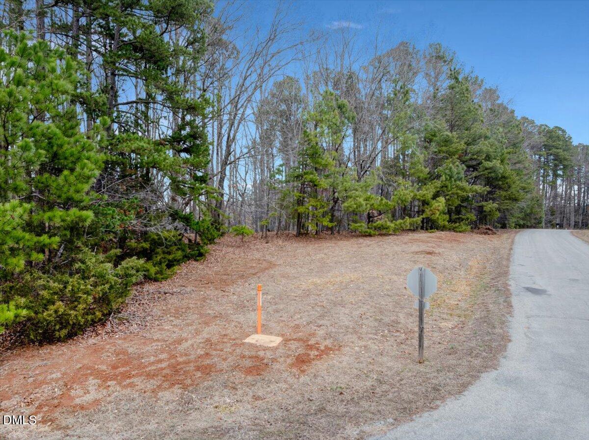 12 Piney Ridge Road Clarksville, VA 23927 - Photo 5 of 21 a view of a backyard