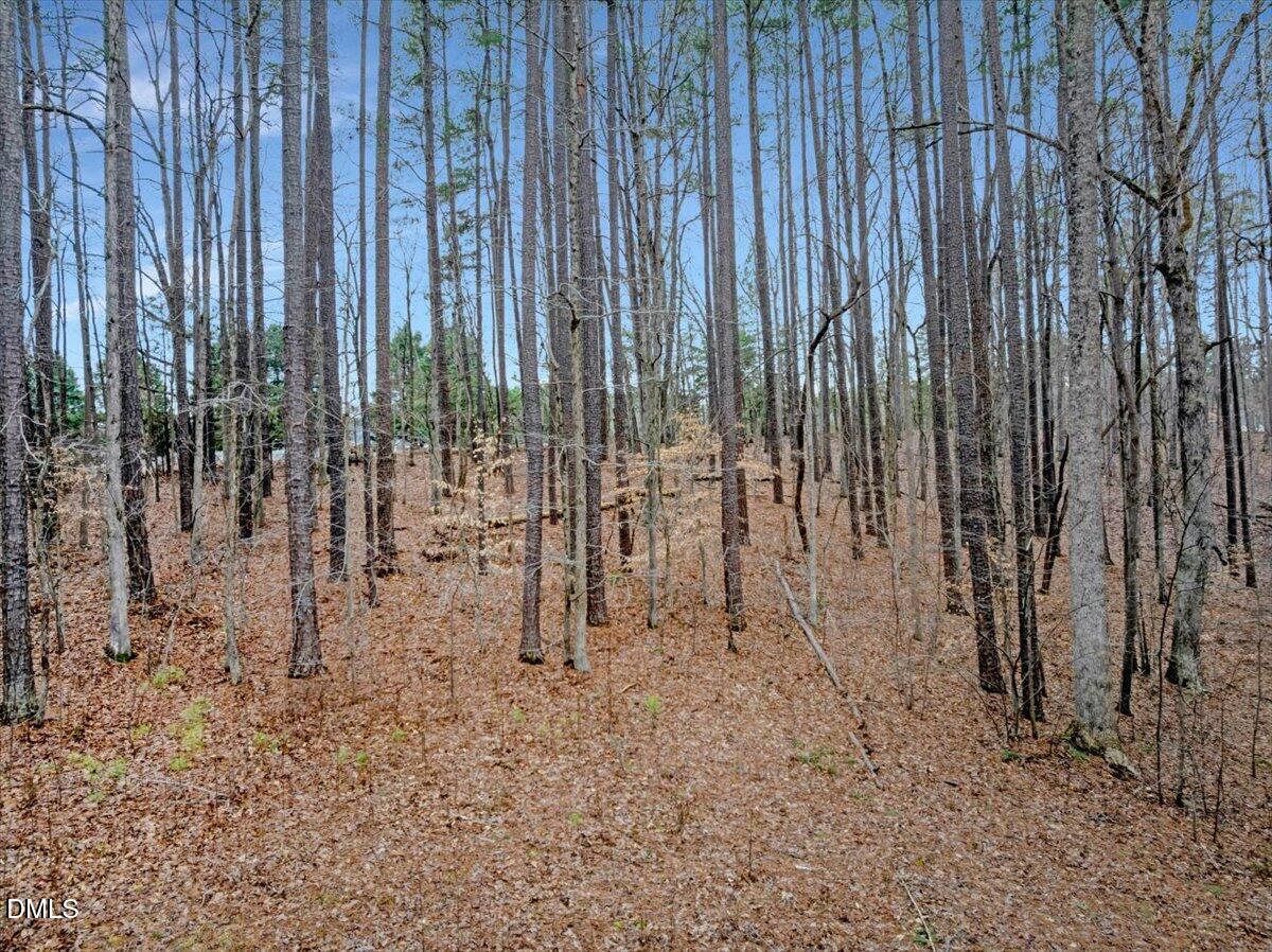 12 Piney Ridge Road Clarksville, VA 23927 - Photo 6 of 21 a view of outdoor space with green field