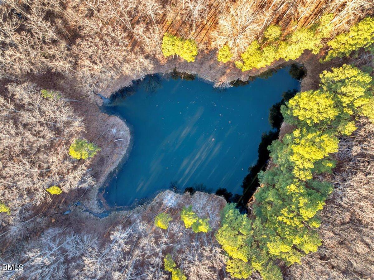 12 Piney Ridge Road Clarksville, VA 23927 - Photo 10 of 21 a view of a flower in a garden
