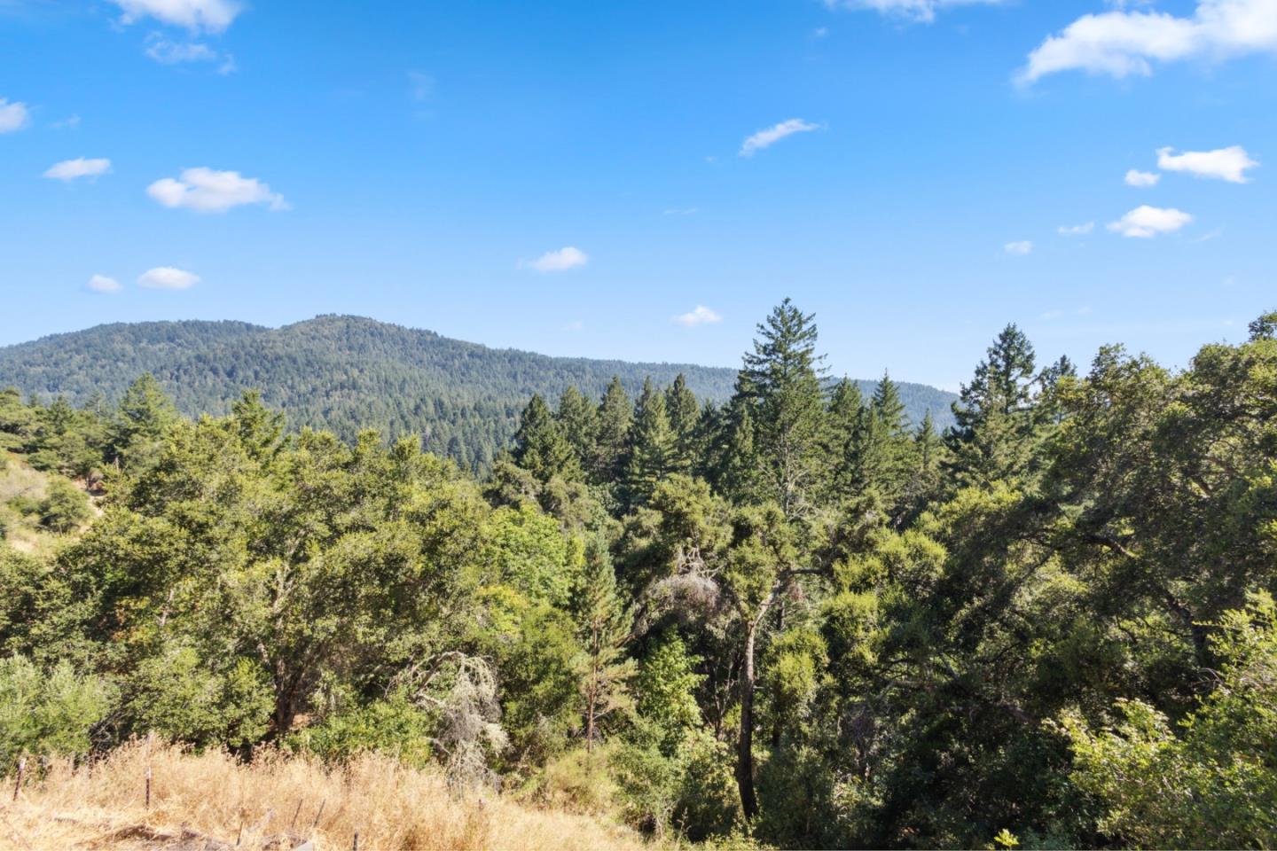 520 Laguna Creek Road Los Gatos, CA 95033 - Photo 34 of 75 a view of a field with a tree in the background