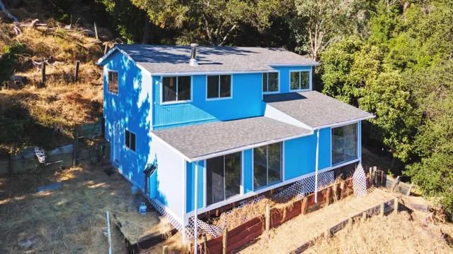 a plant that is in a garden