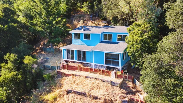 a view of a yard with plants and trees
